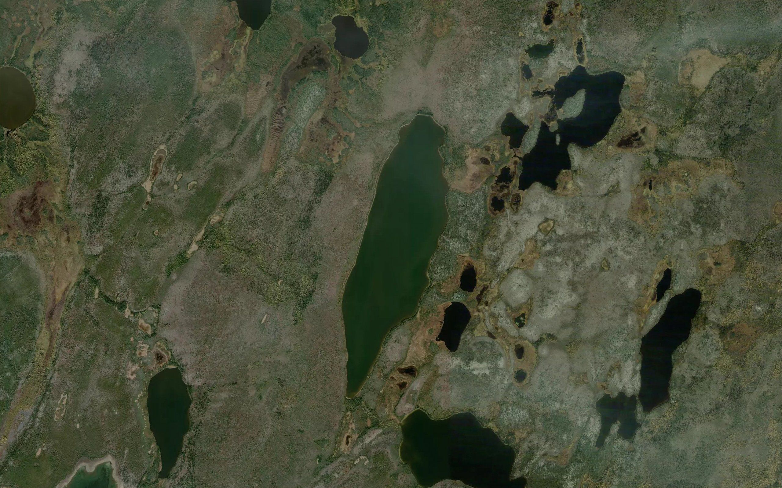 Nixon Lake