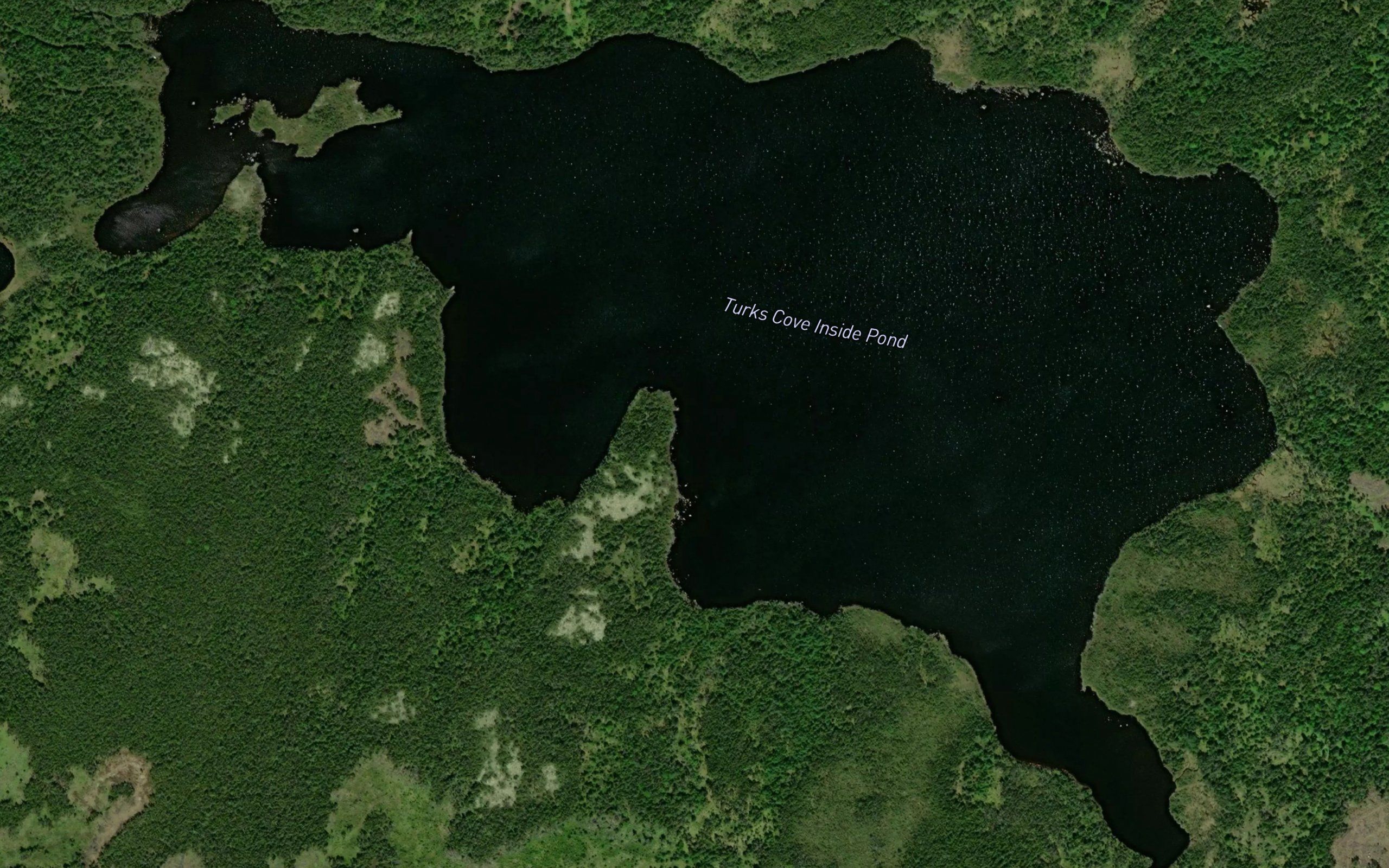 Turks Cove Inside Pond