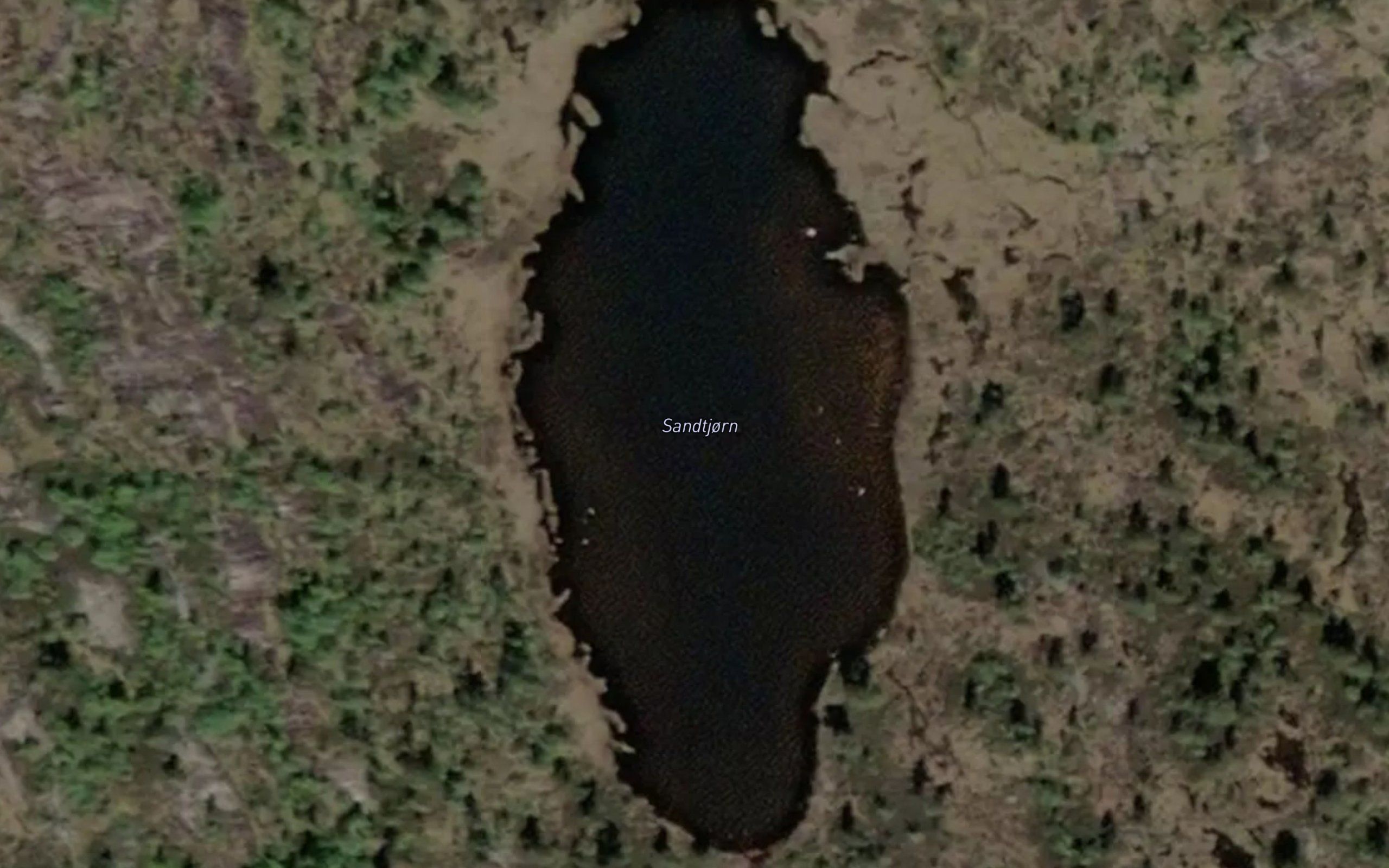 Sandtjorn