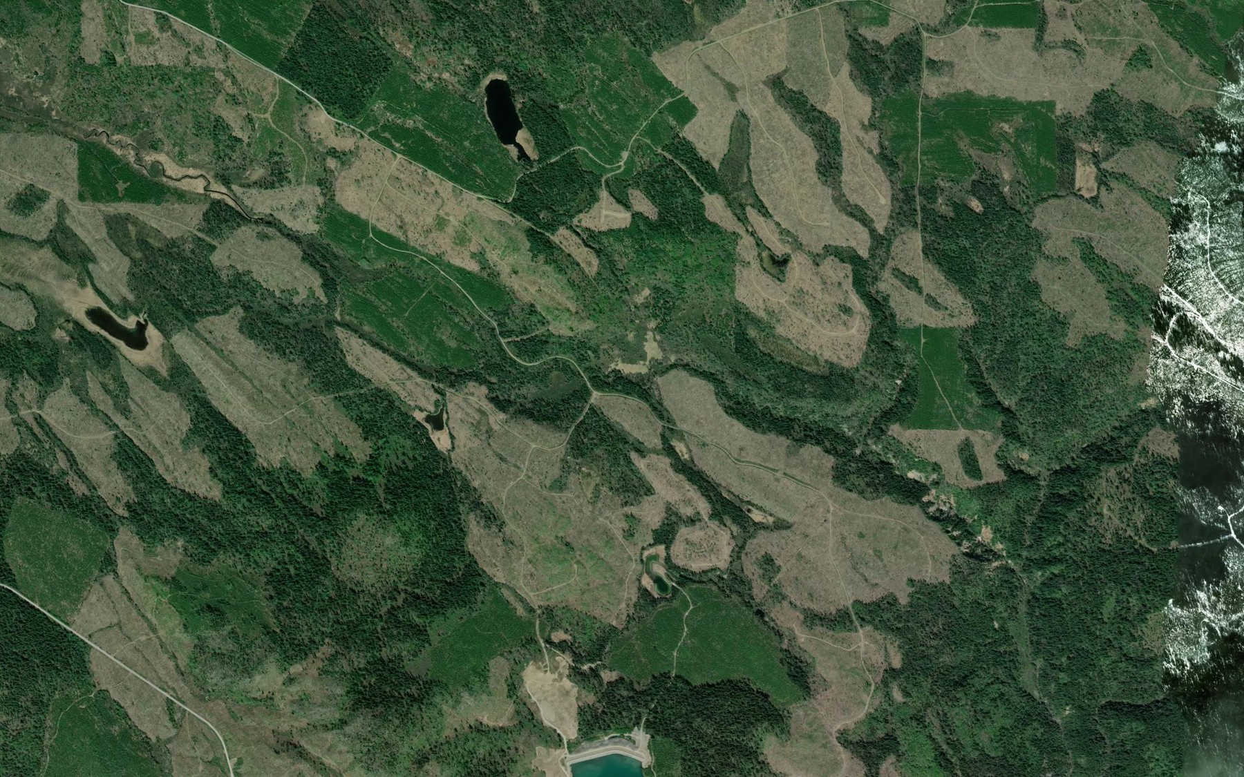 Satellite map of the Rudy Creek