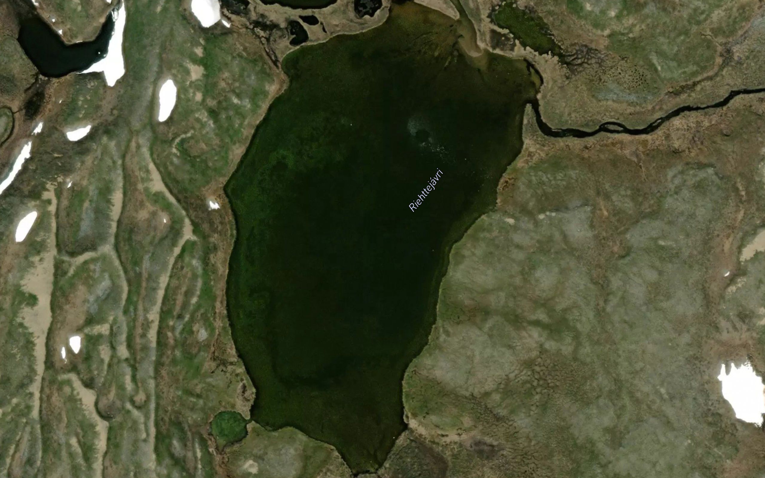 Riettejavri