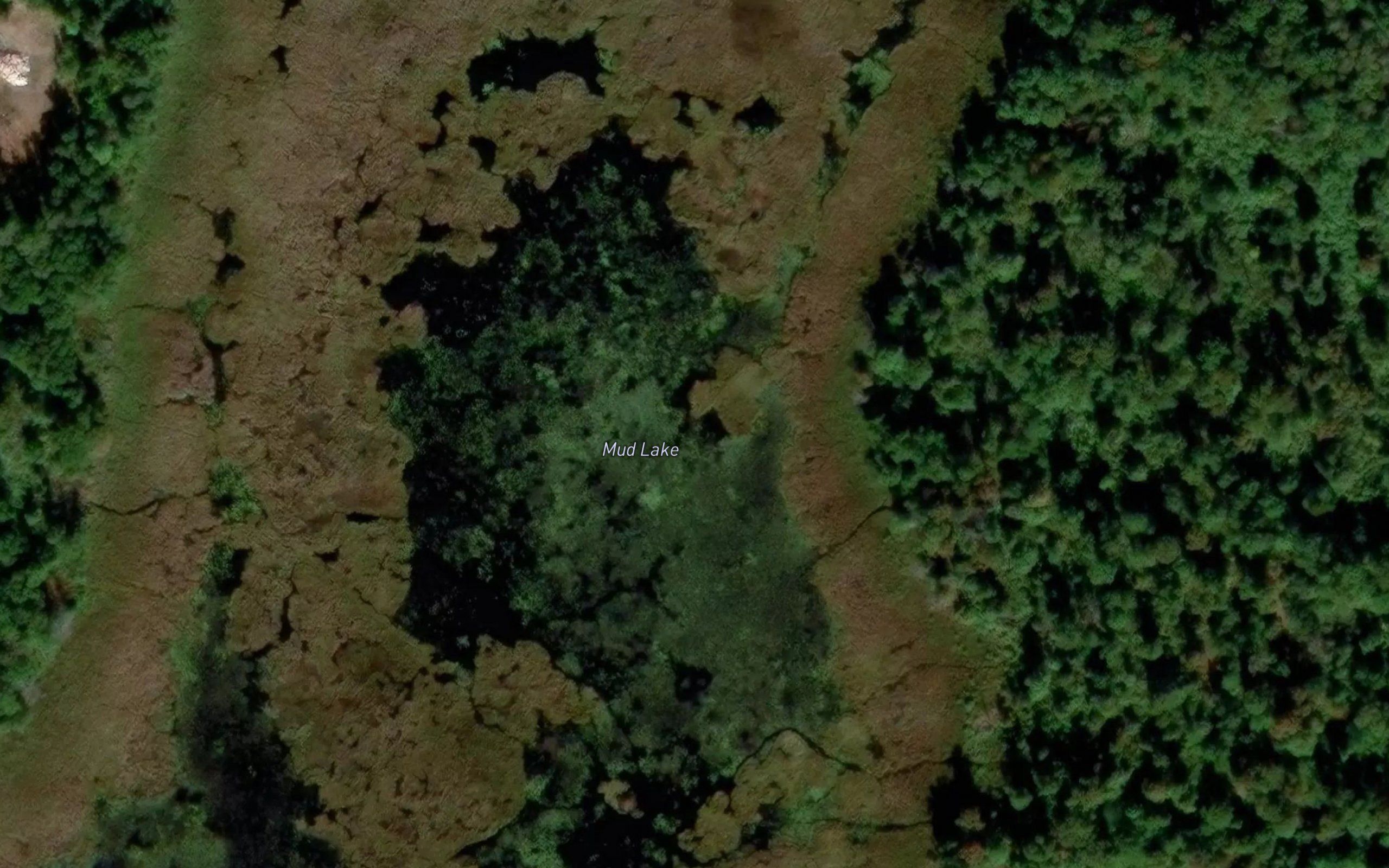 Mud Lake