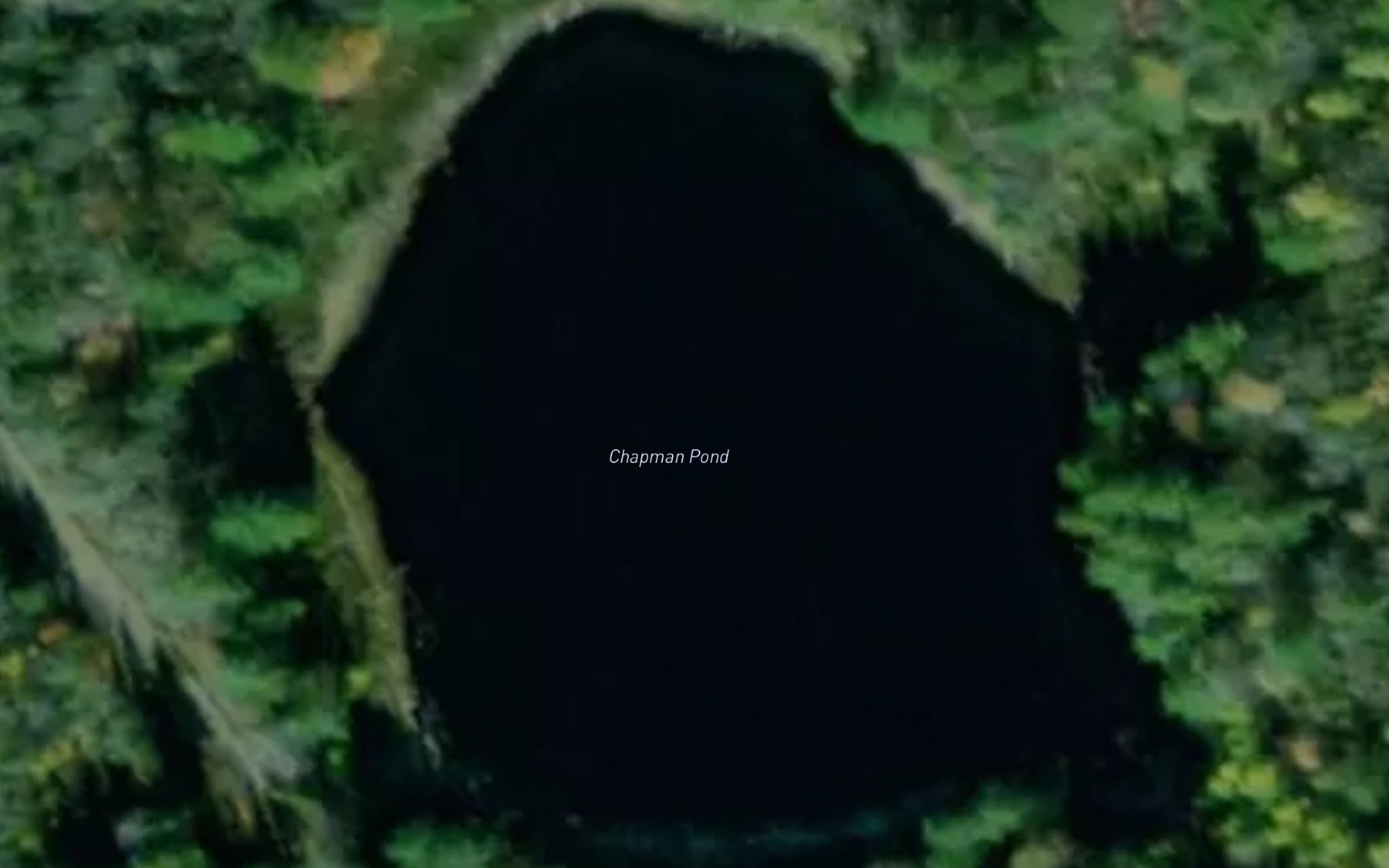 Satellite map of the Chapman Pond
