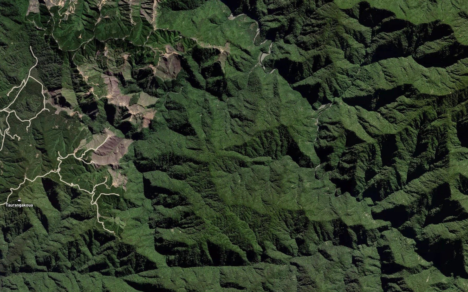 Satellite map of the Ngapueriki Stream