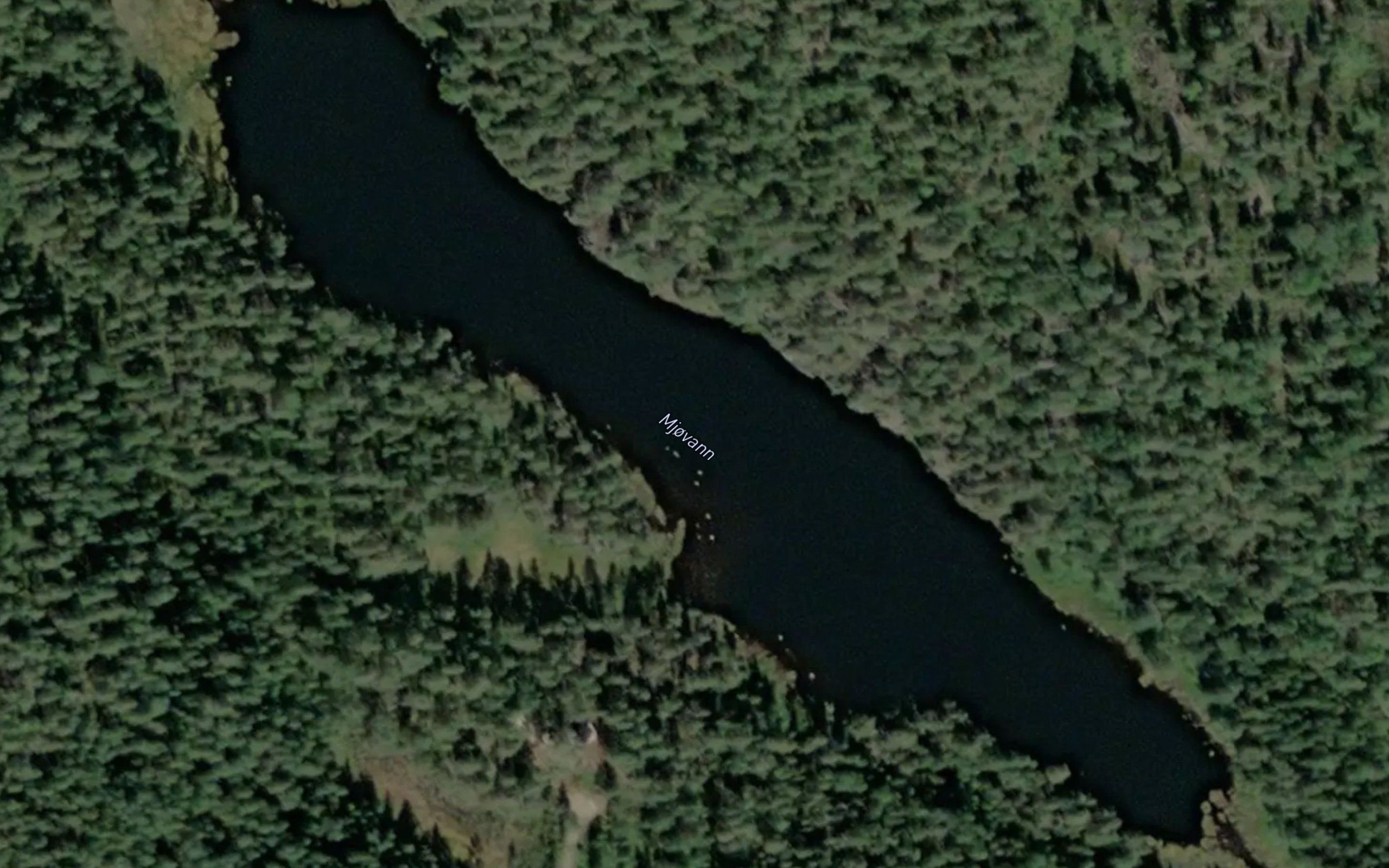 Mjovann