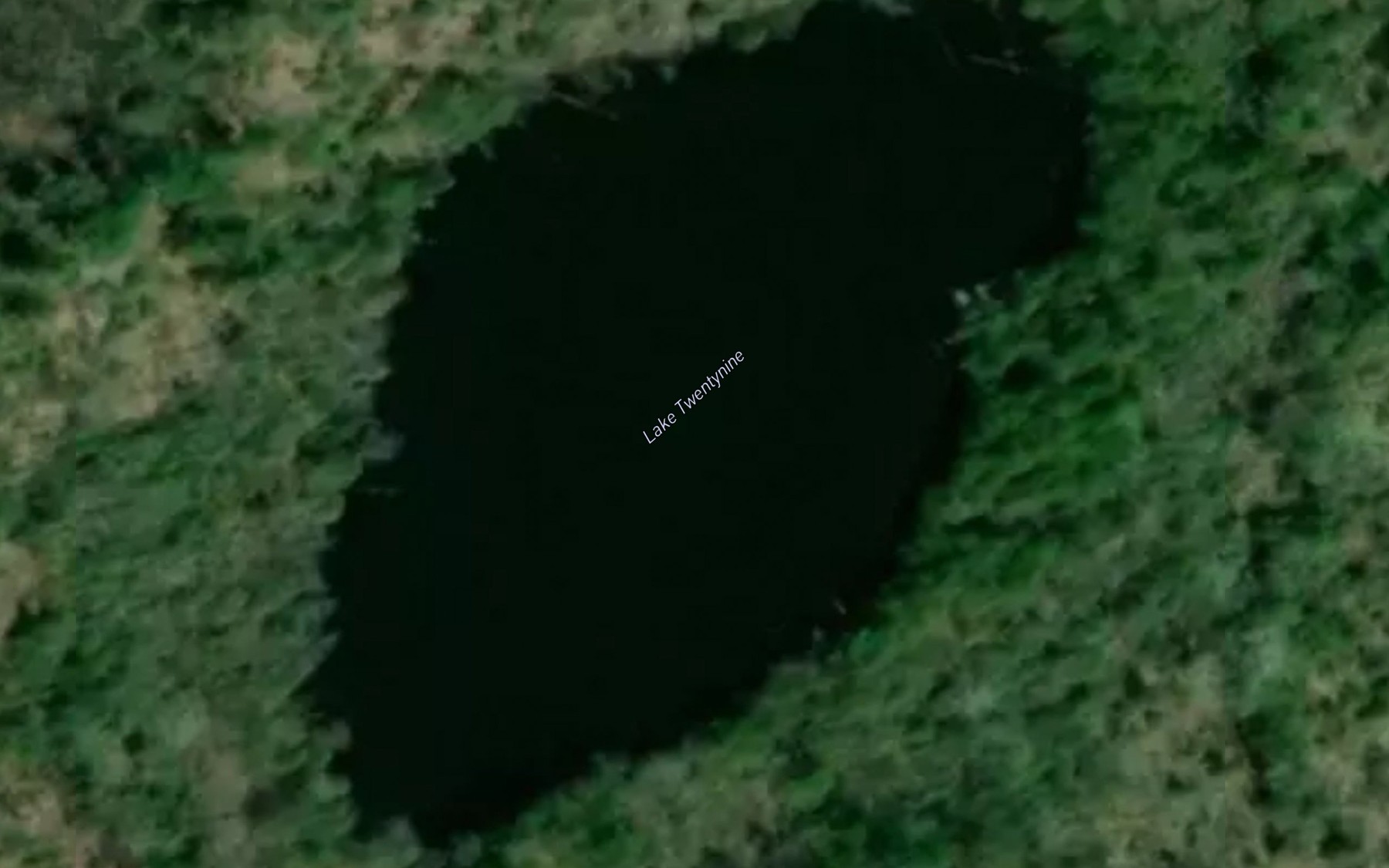 Satellite map of the Lake Twentynine