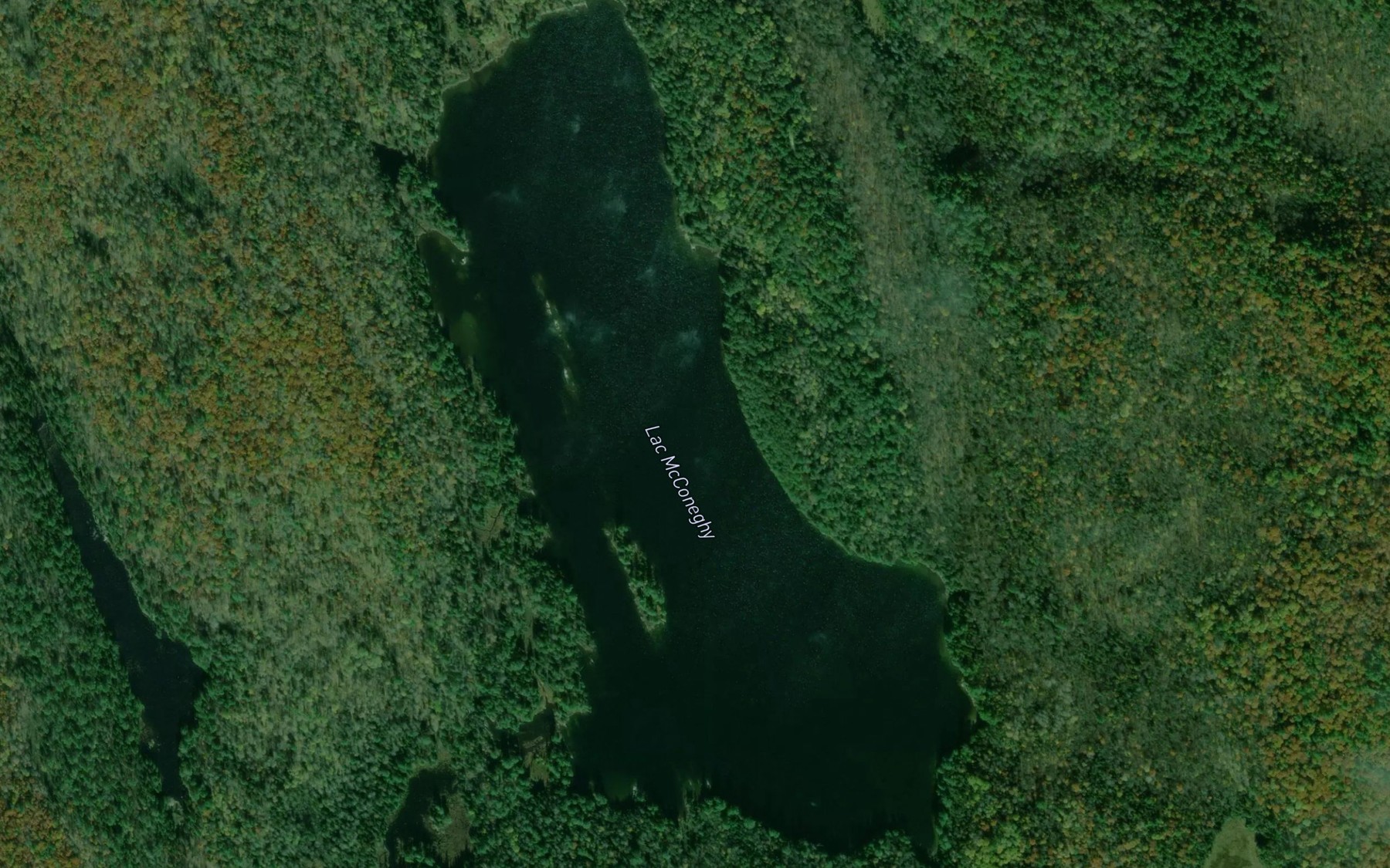 Satellite map of the Lac McConeghy