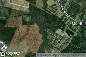 William H Newton Ditch