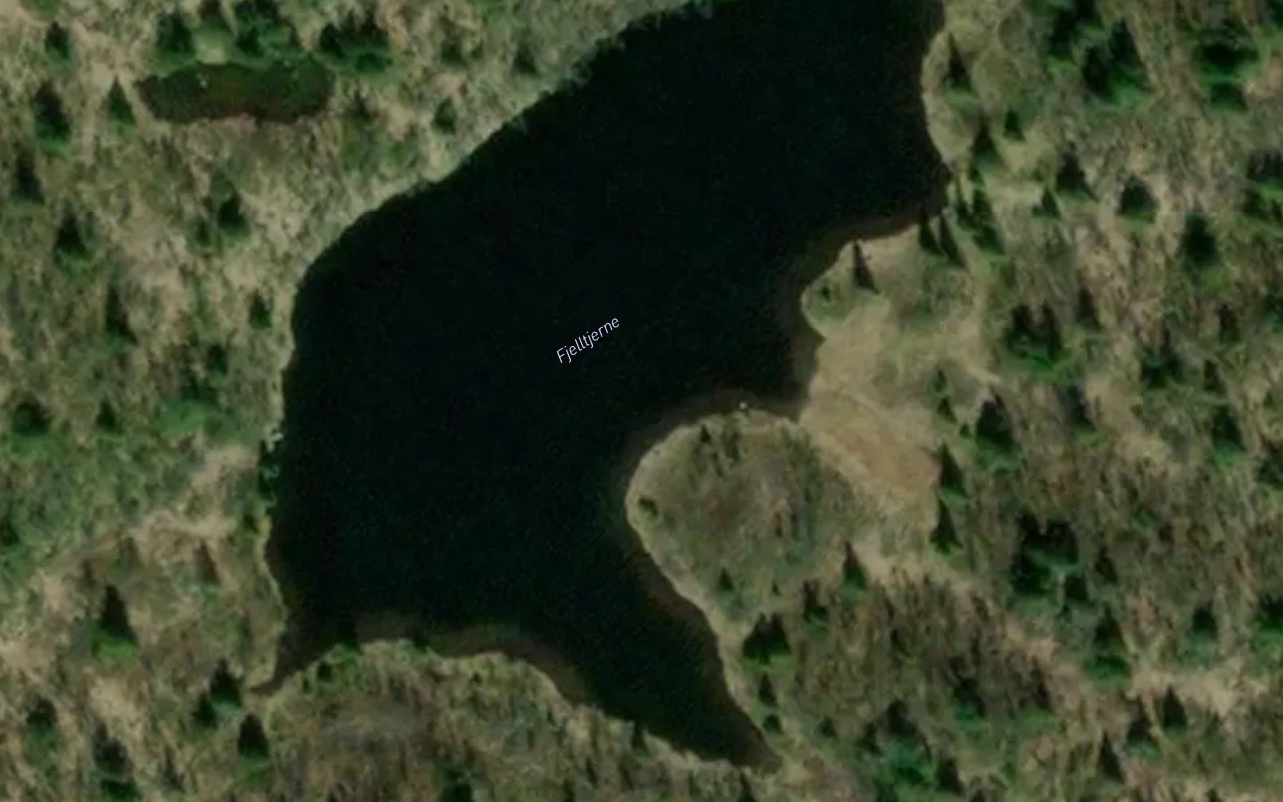 Fjelltjern