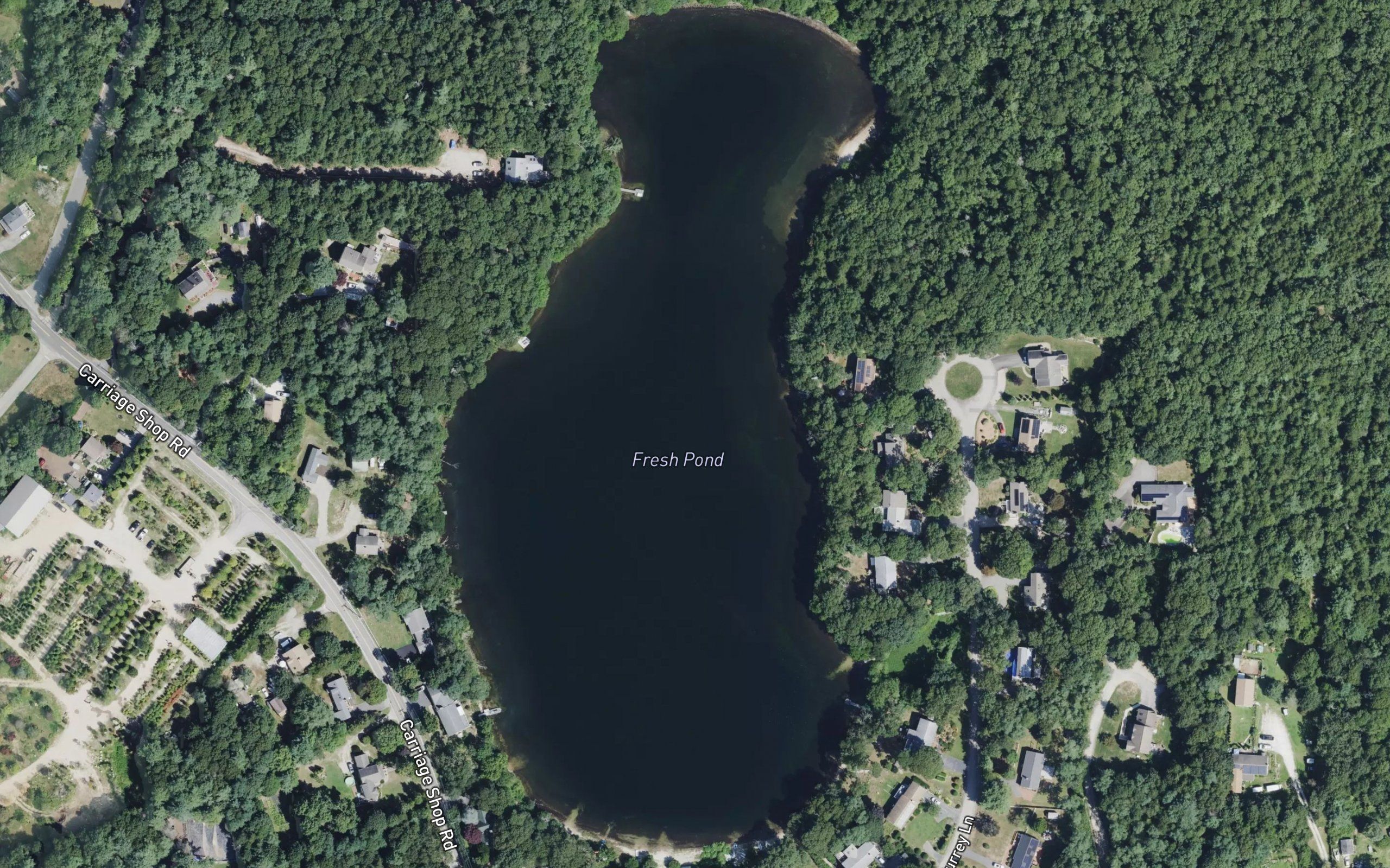 Fresh Pond