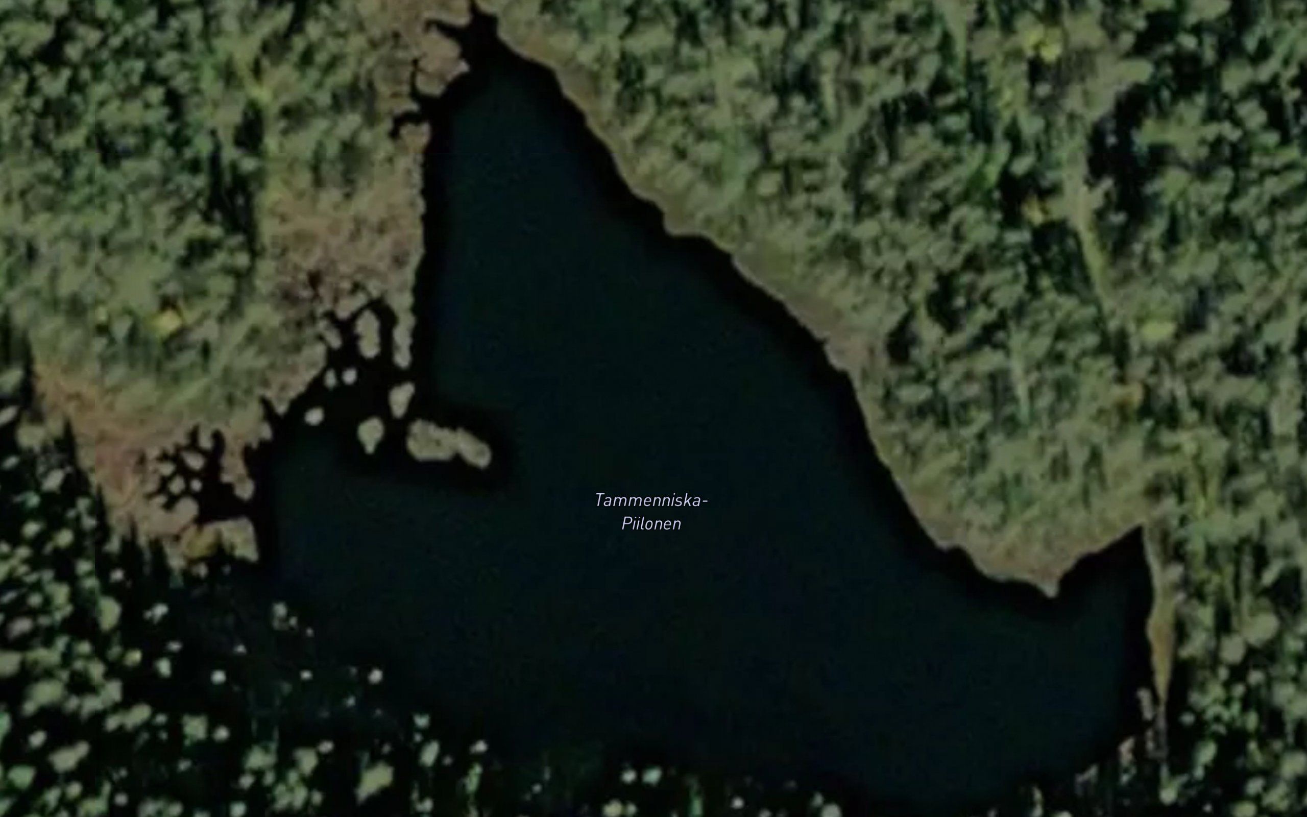 Tammenniska-Piilonen