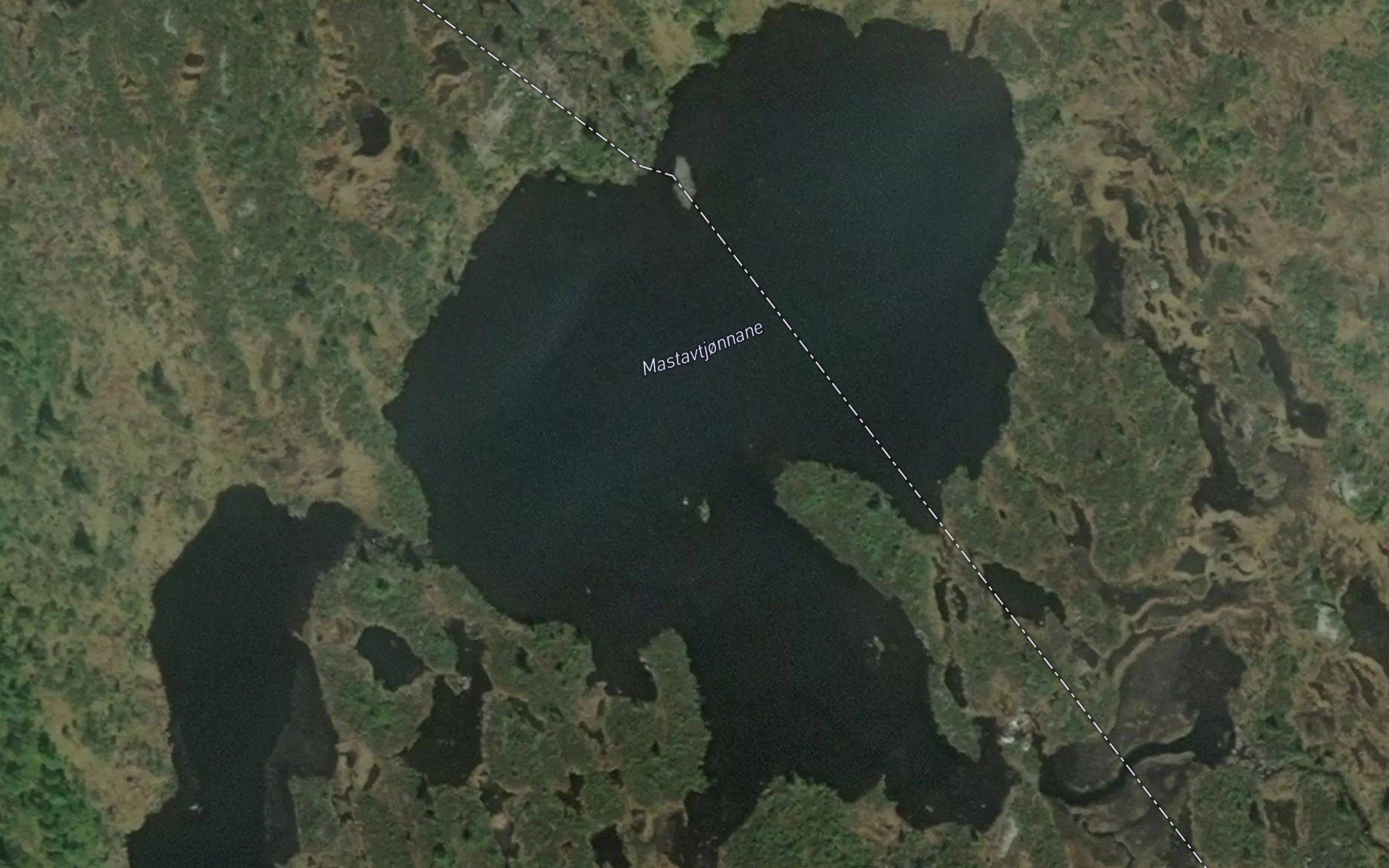 Mastavtjornane