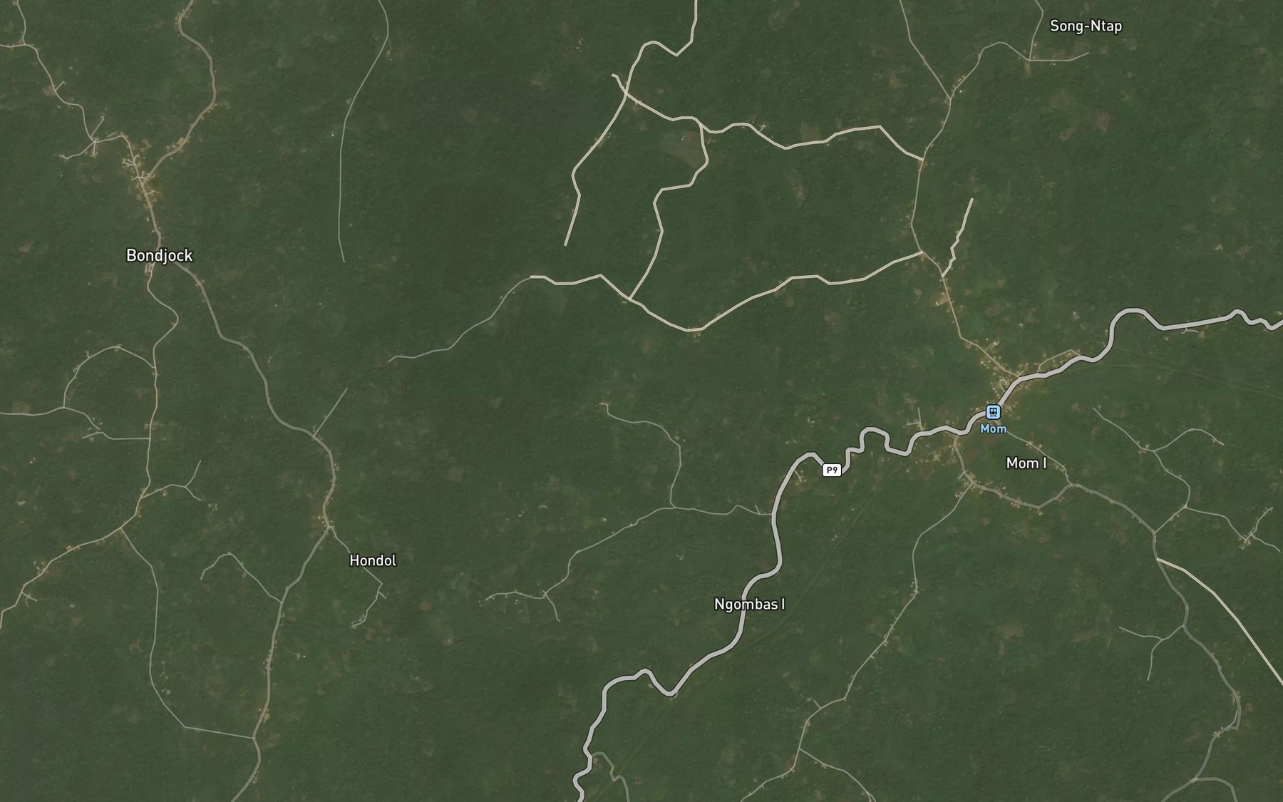 Satellite map of the Lepnkok