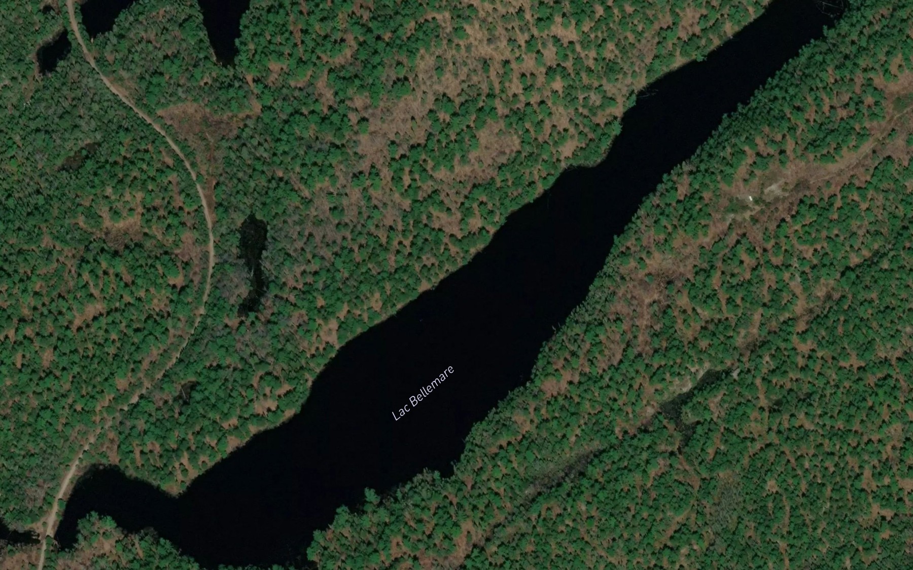 Satellite map of the Lac Bellemare