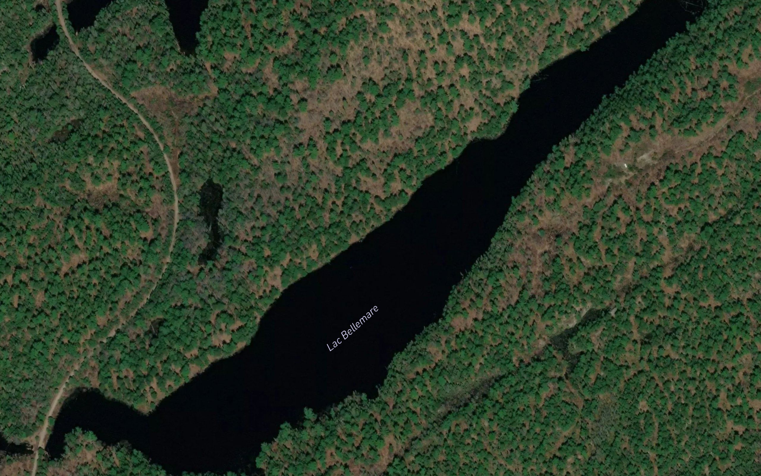 Lac Bellemare
