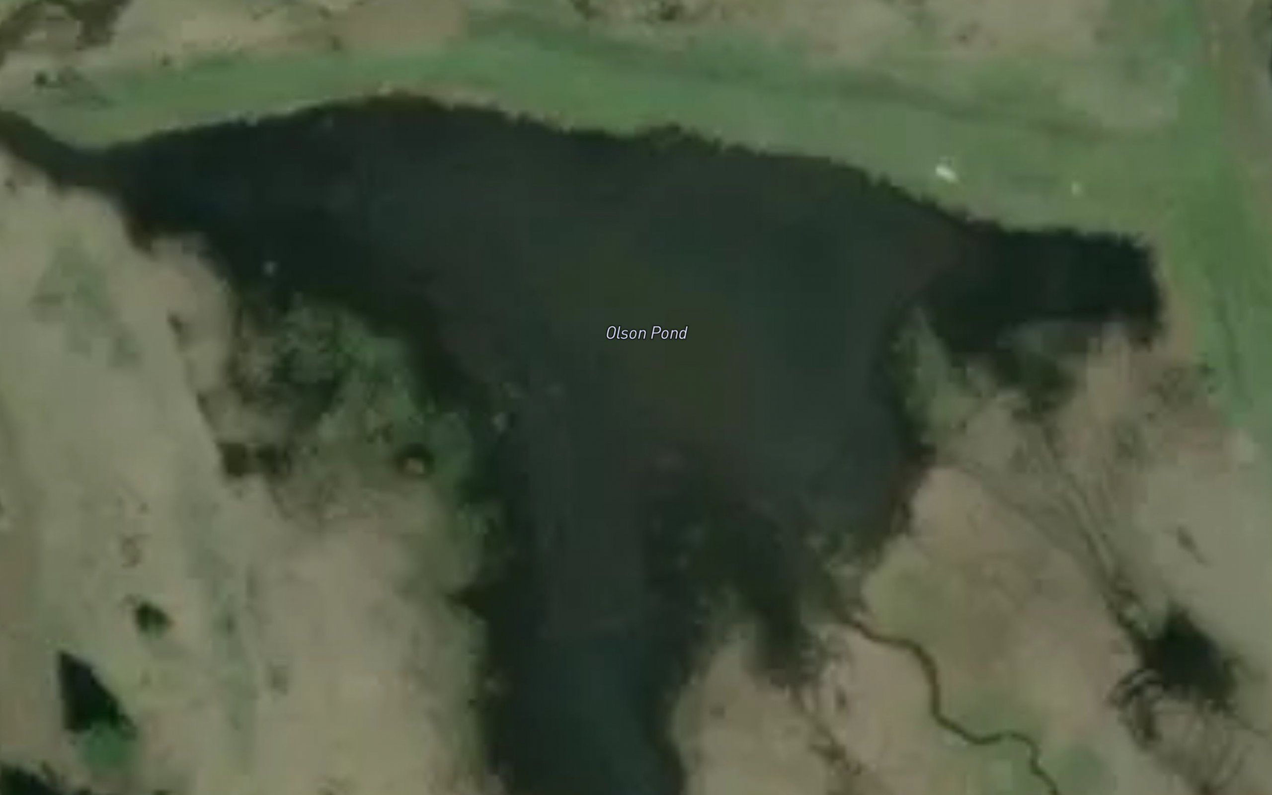 Olson Pond