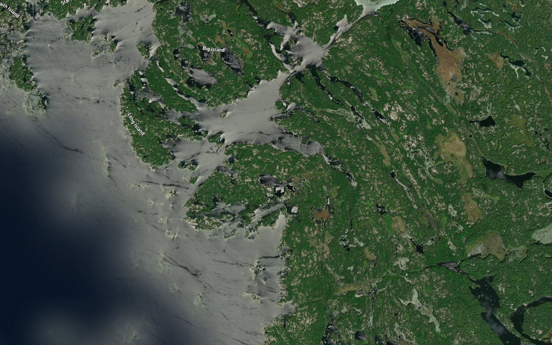 Satellite map of the Riddells Bay