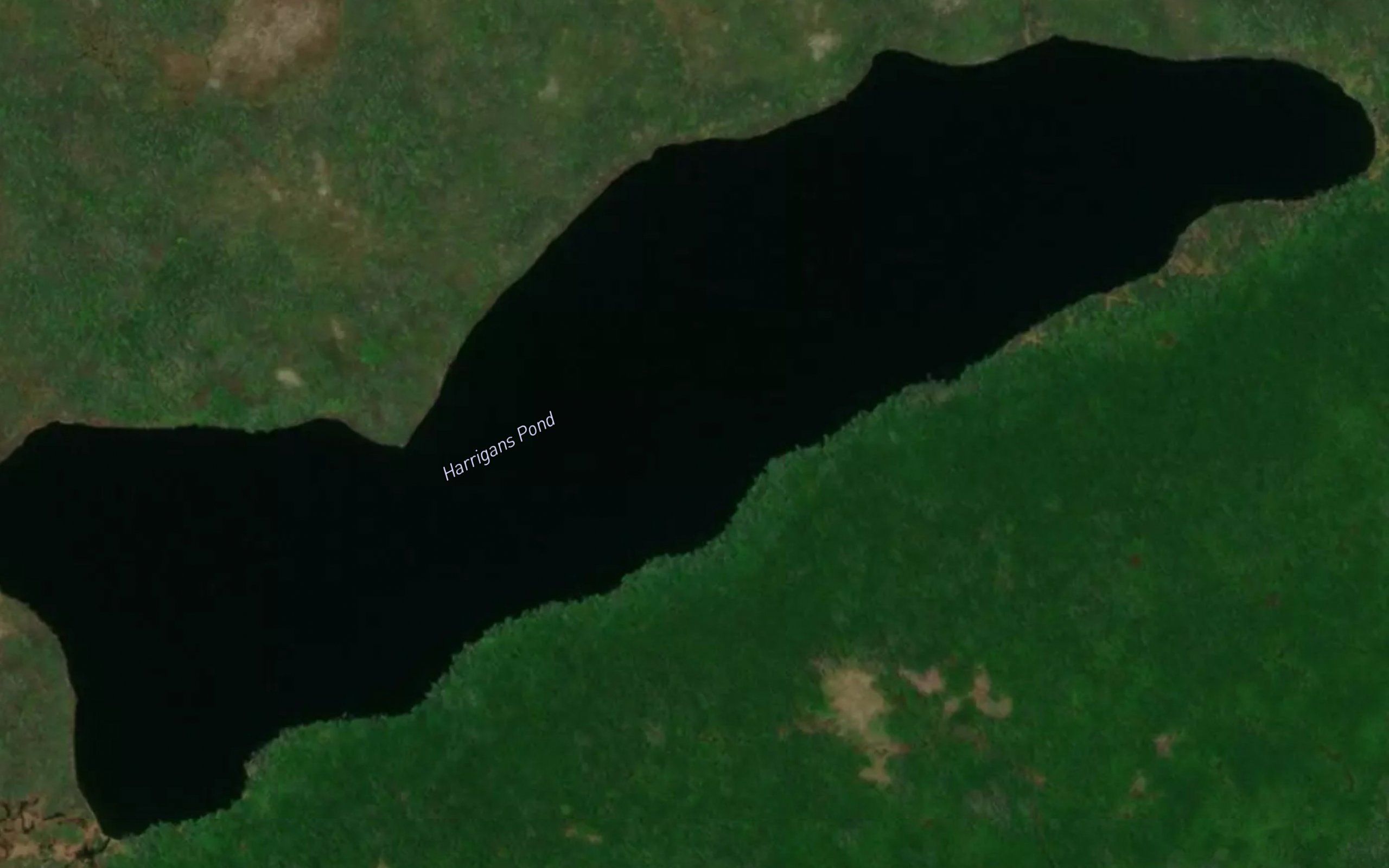 Harrigans Pond