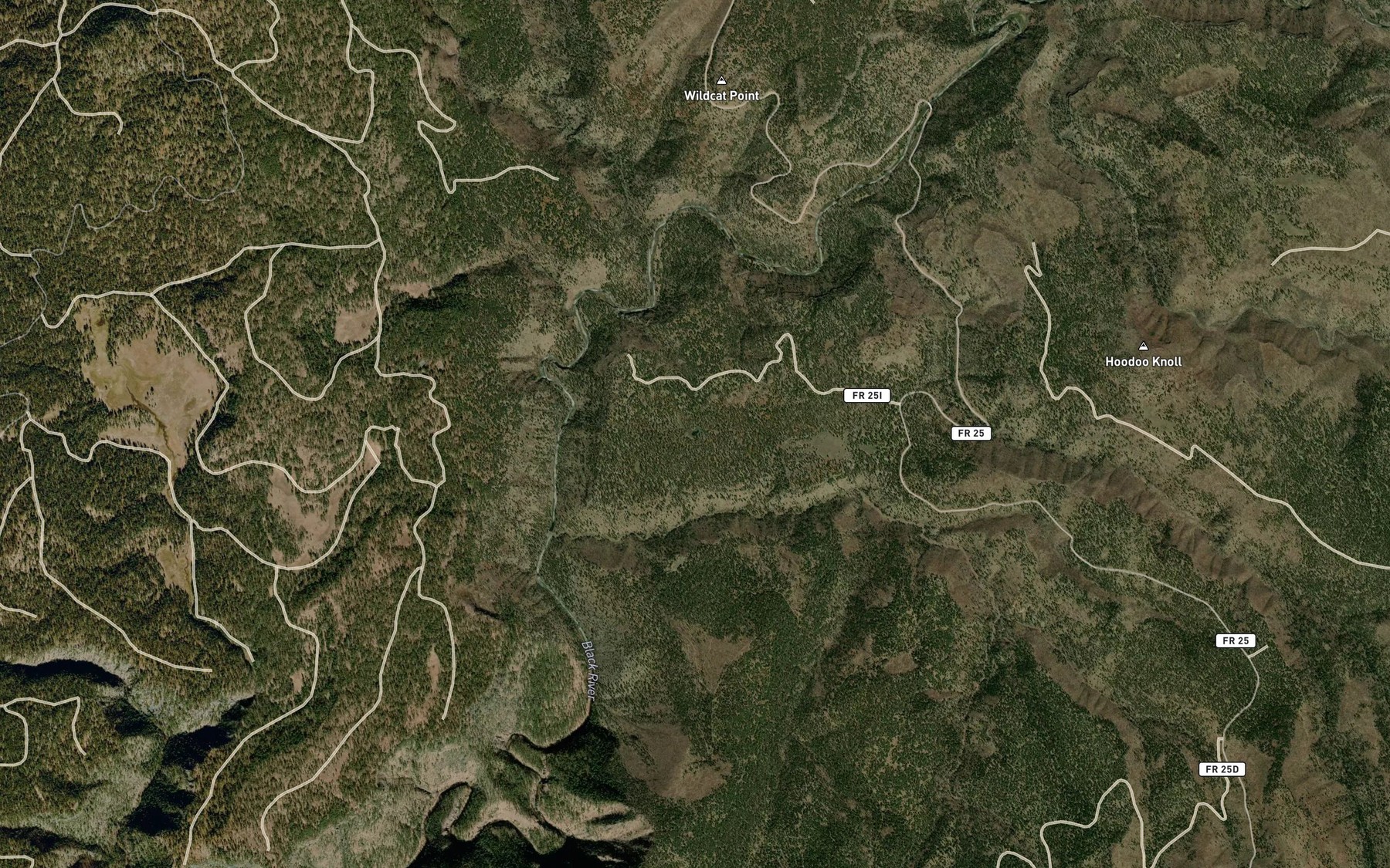 Satellite map of the McKibbins Pond