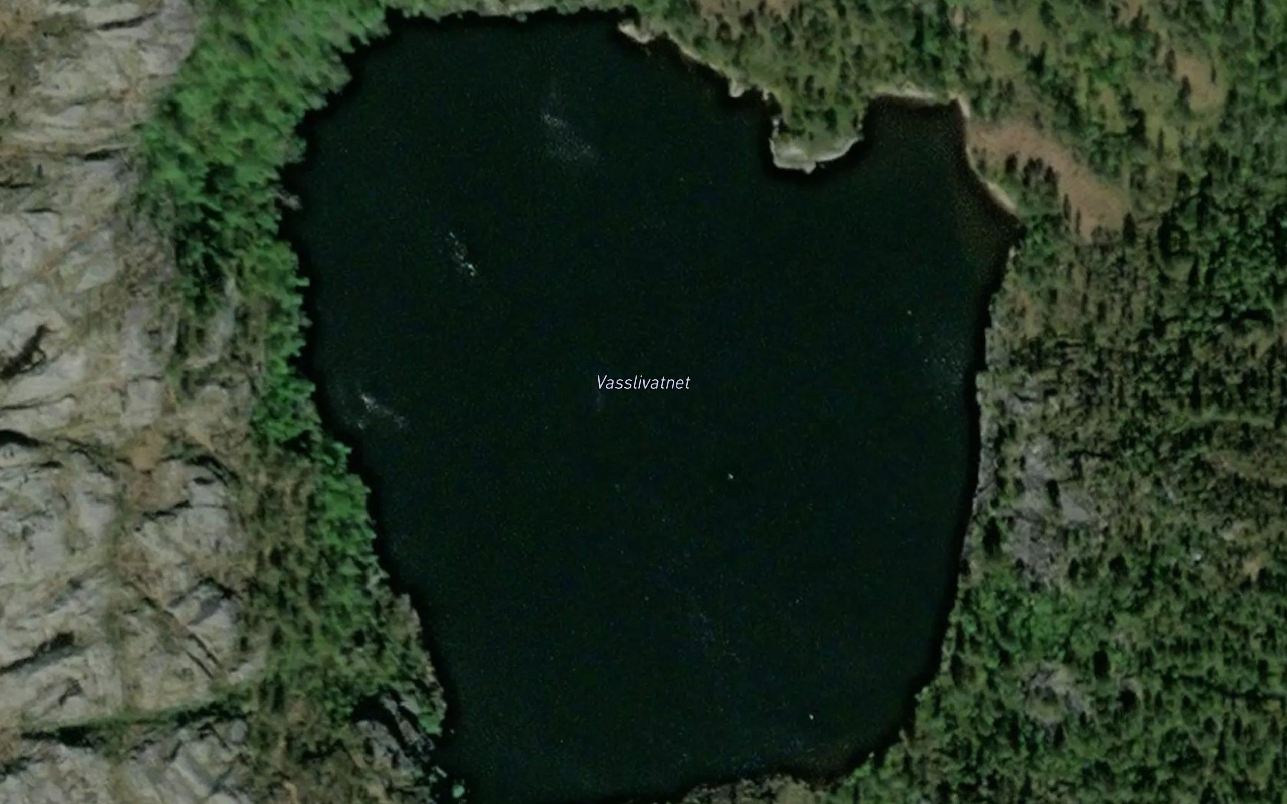 Vasslivatnet