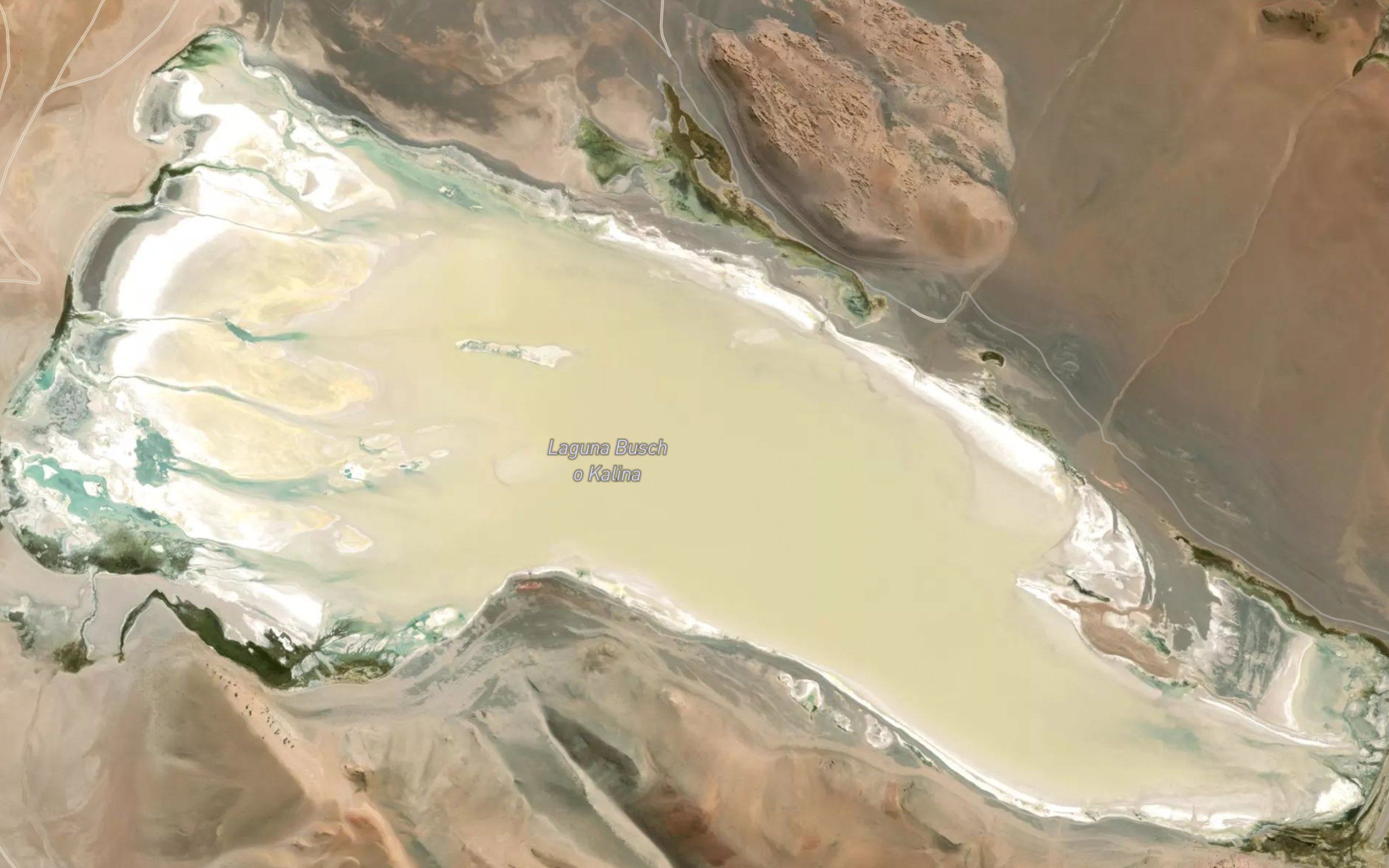 Laguna Busch