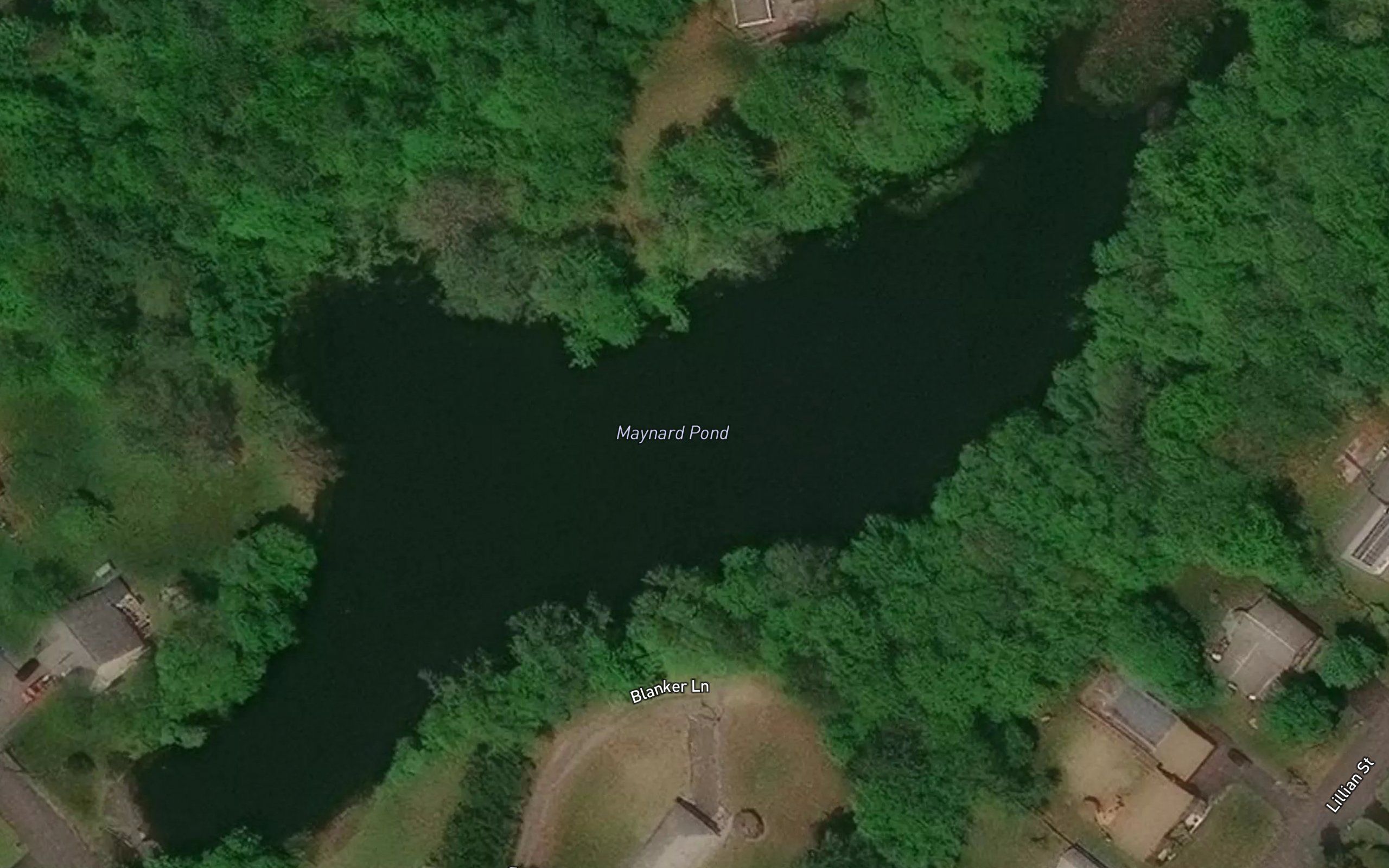 Maynard Pond