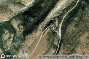 Pine Spring
