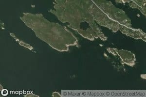 Kelp Cove
