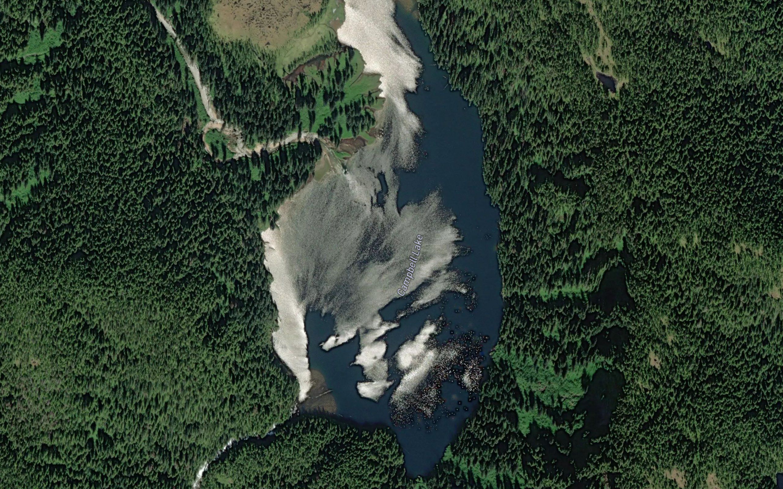Campbell Lake