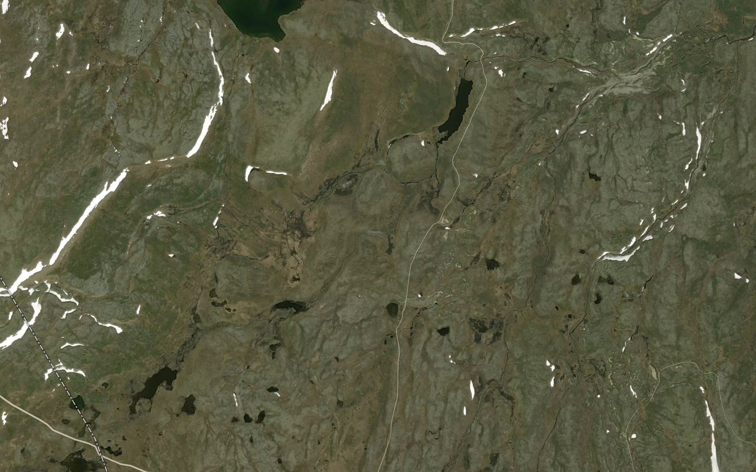 Laemsejakka