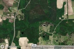 Reedy Creek