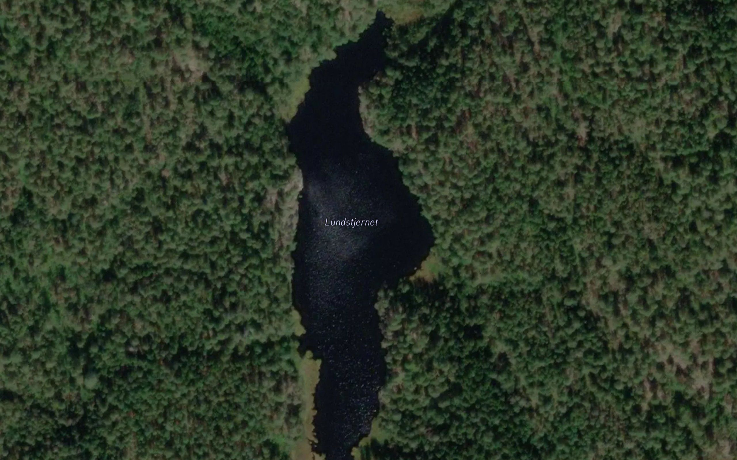 Lundstjernet