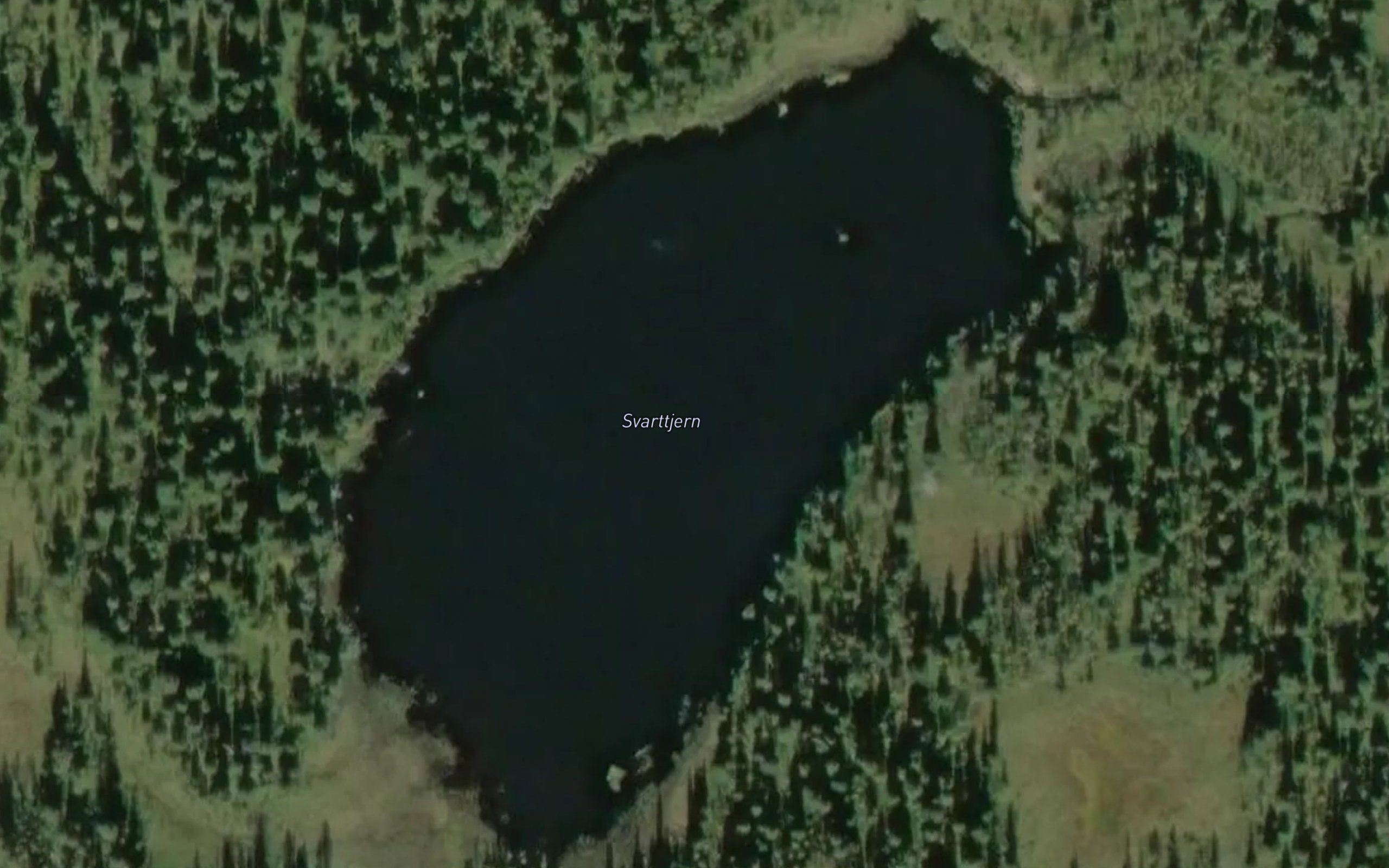 Svarttjern
