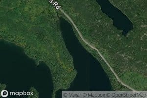 Bog Creek