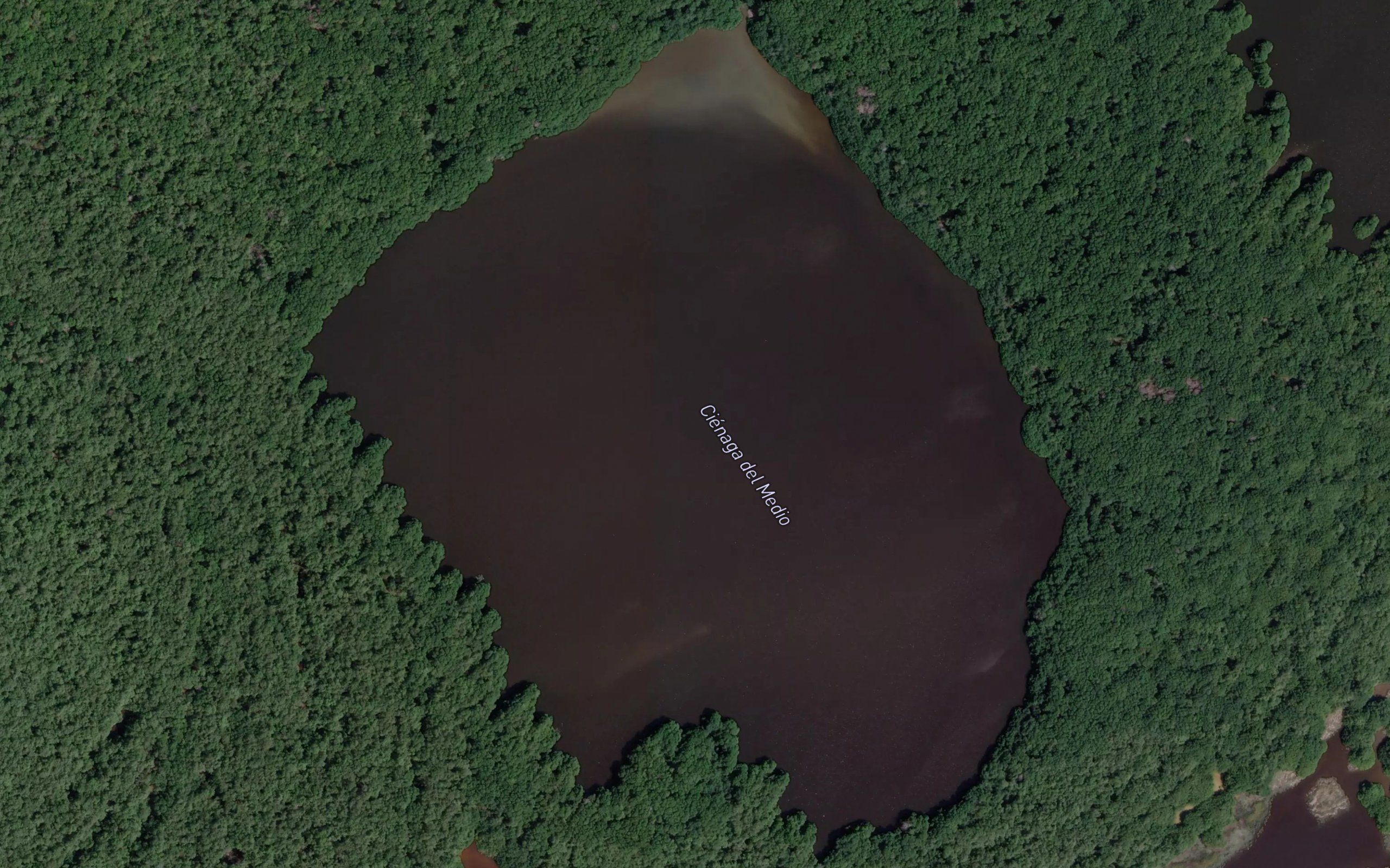 Cienaga del Medio