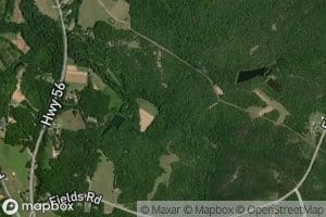 Wiley Fork Creek