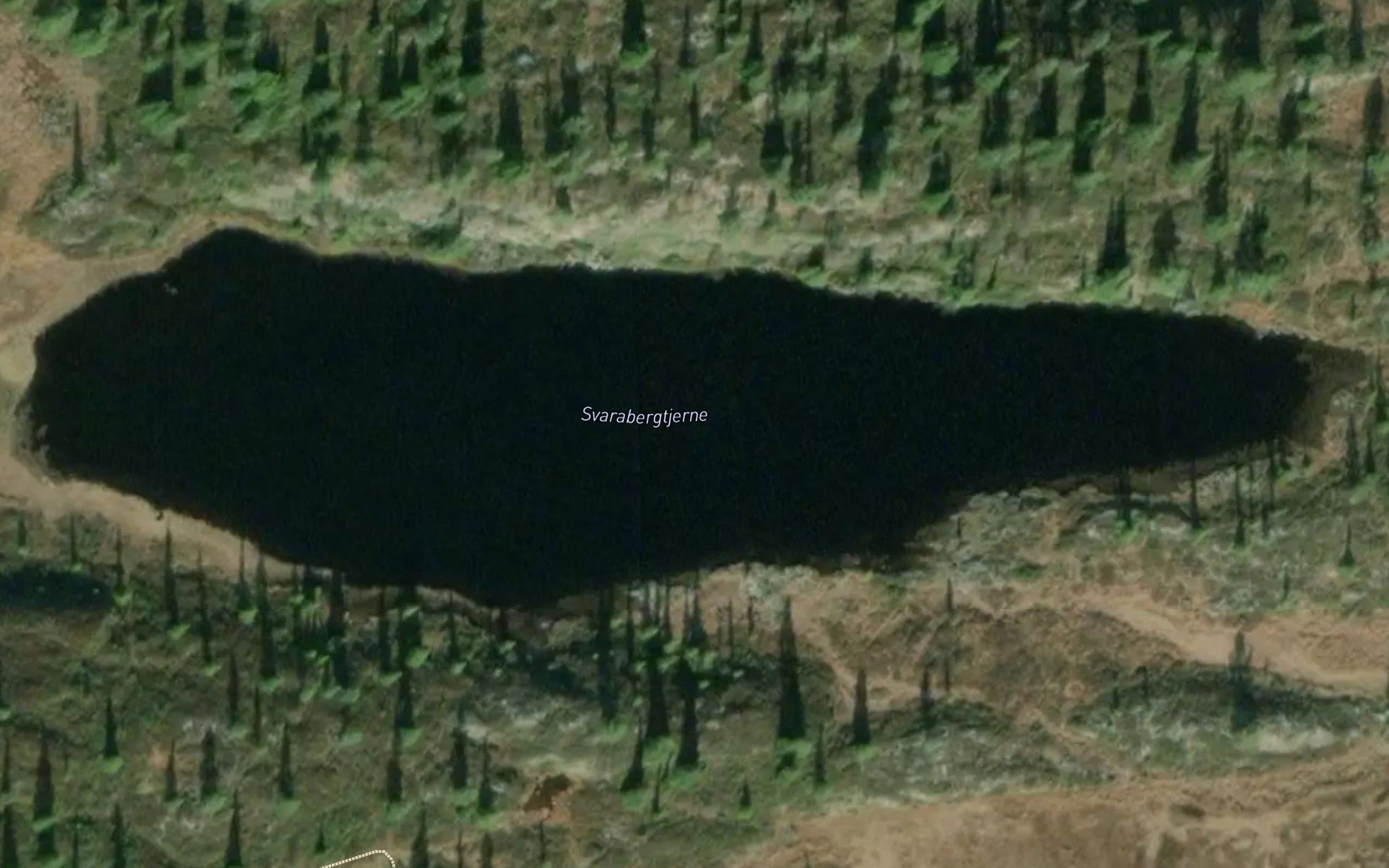 Svarabergtjern
