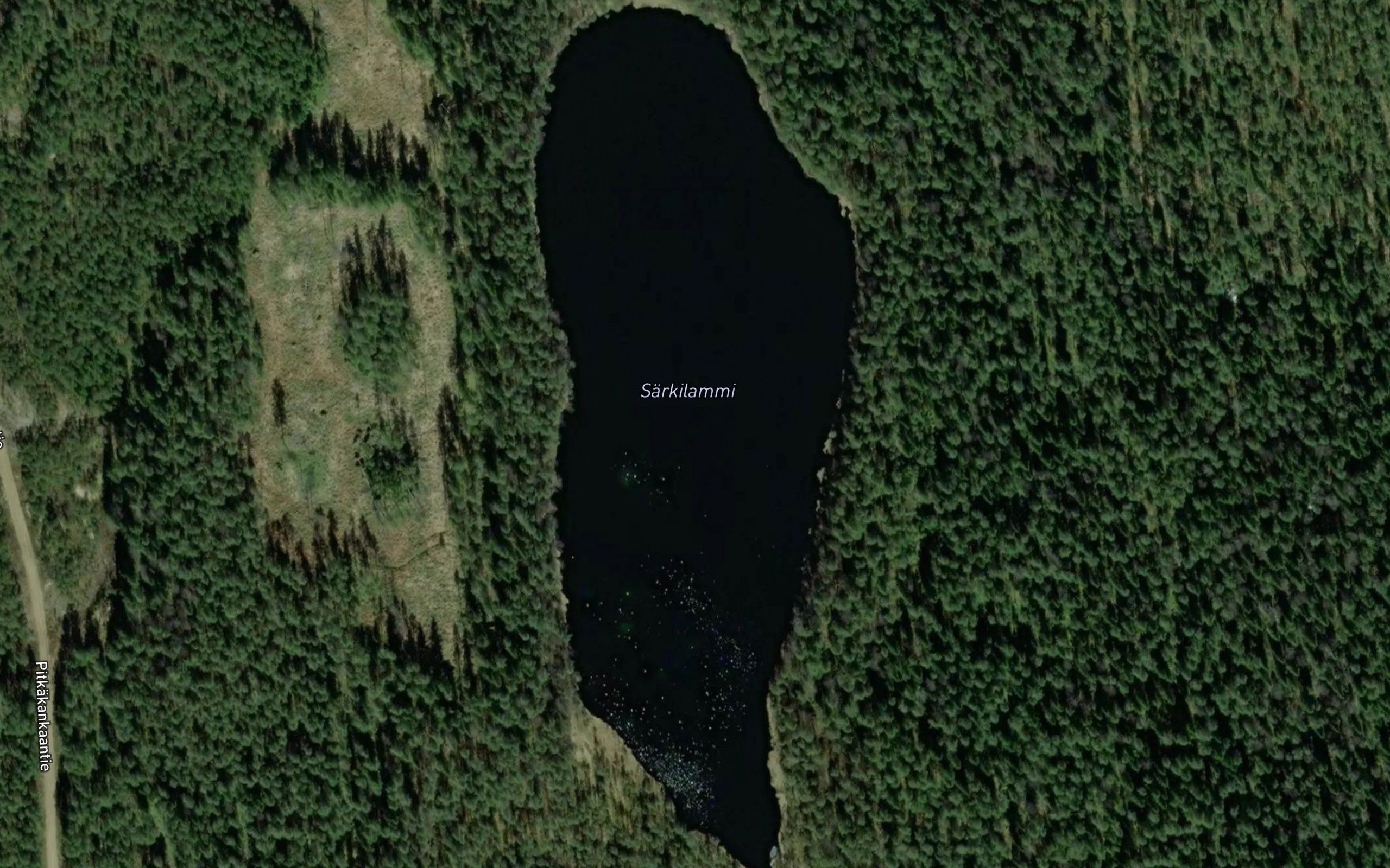 Sarkilammi
