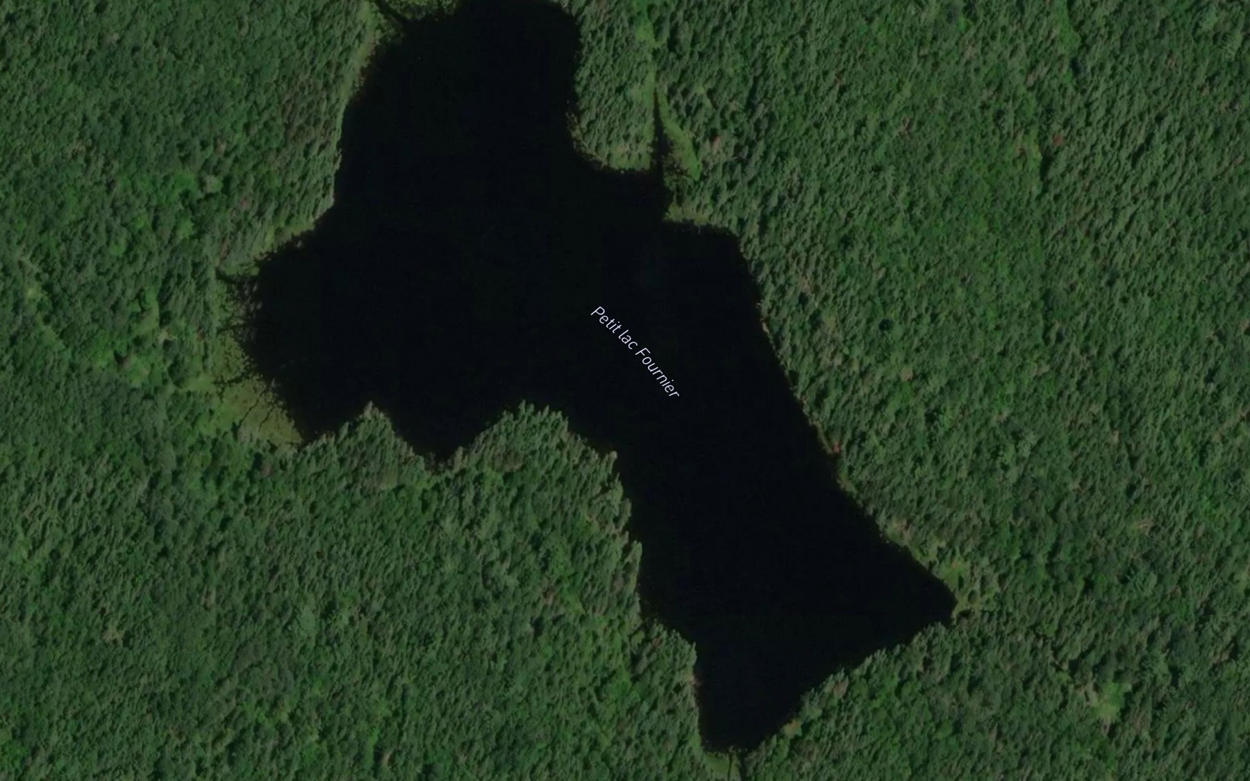 Satellite map of the Petit lac Fournier