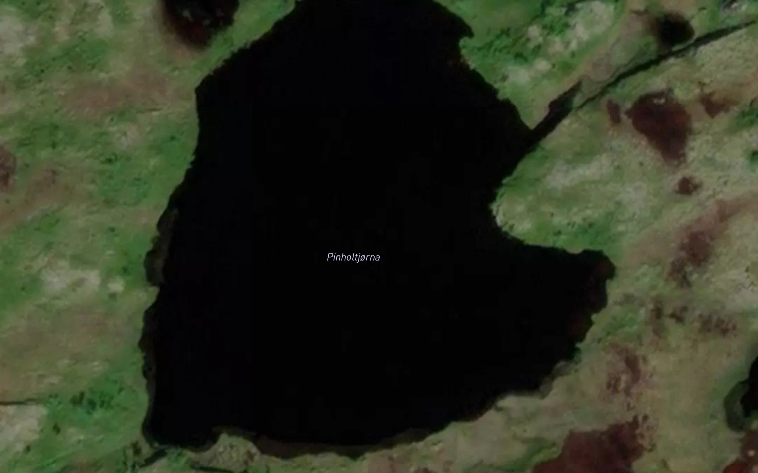 Pinholtjorna