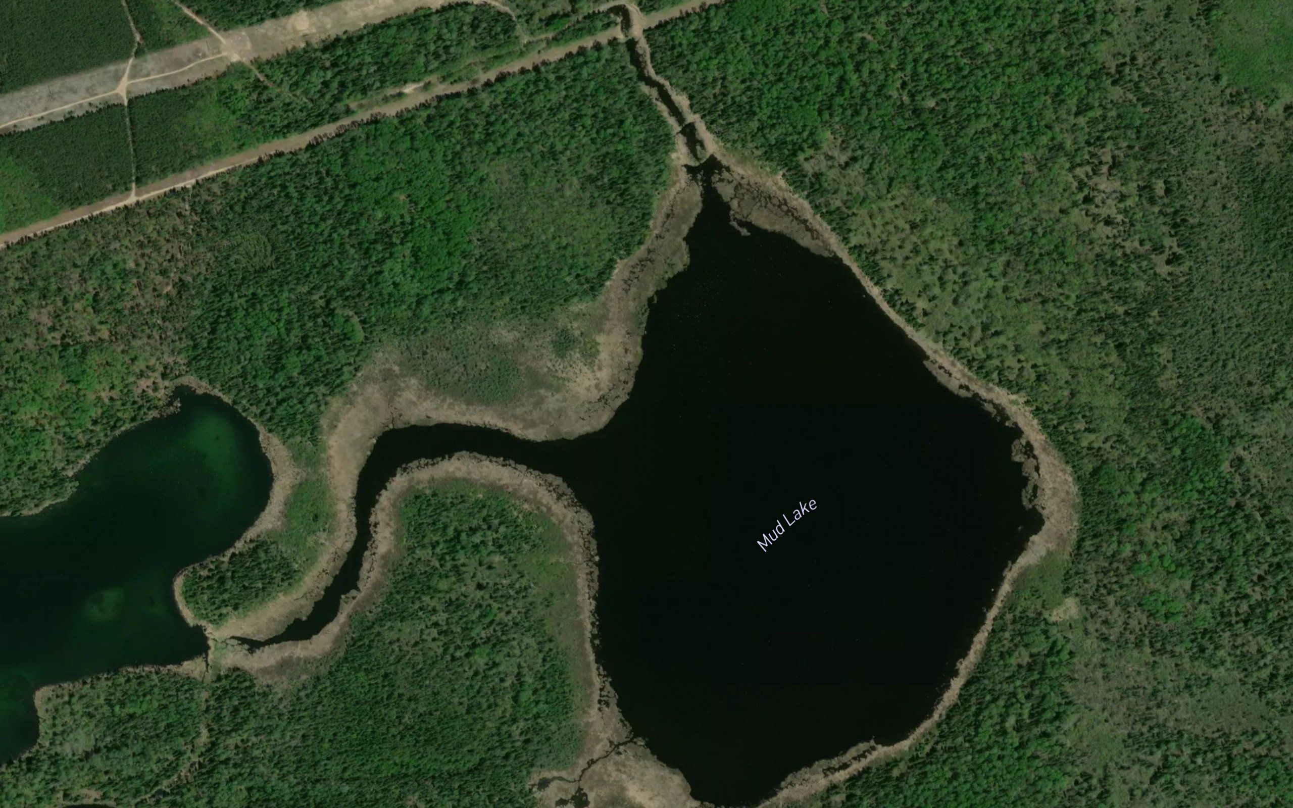Mud Lake