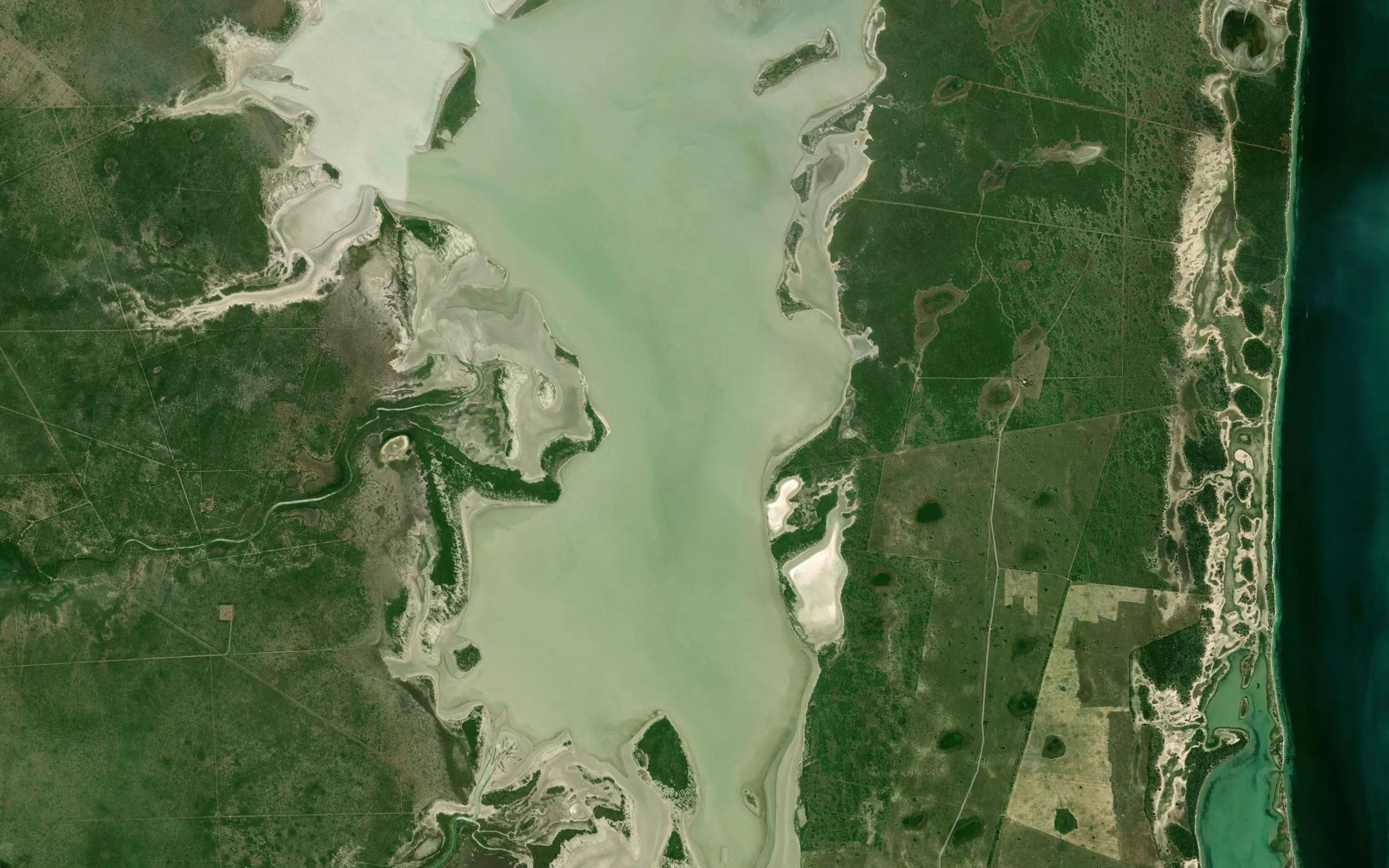 Estero Bayuco de Oro