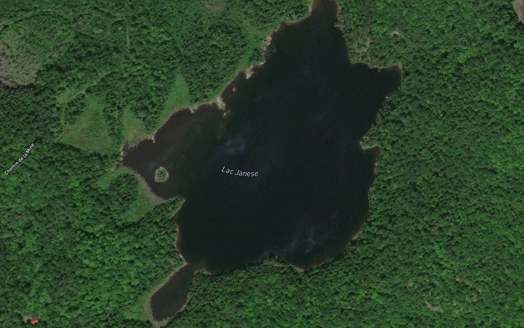 Satellite map of the Lac Janese
