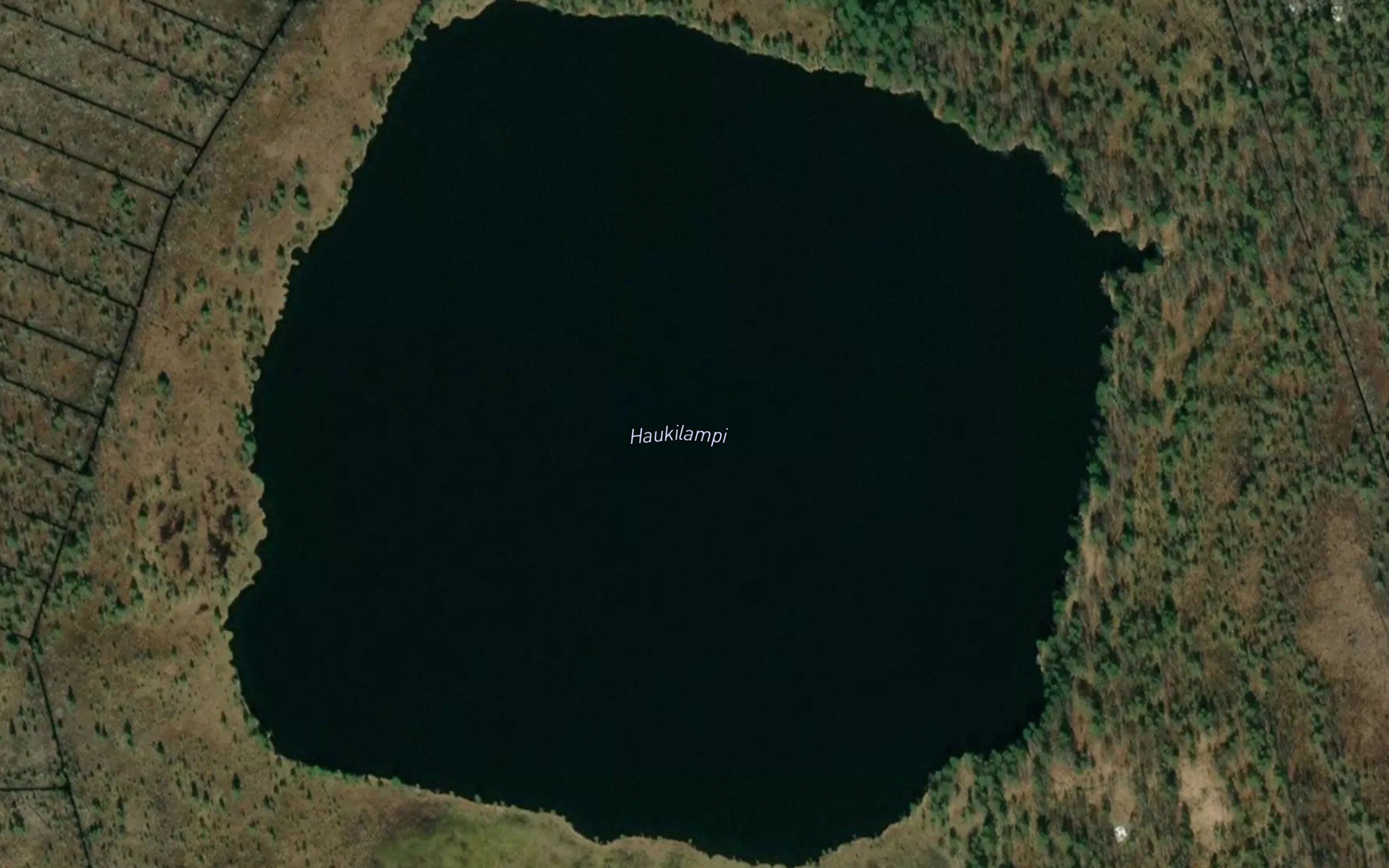 Haukilampi