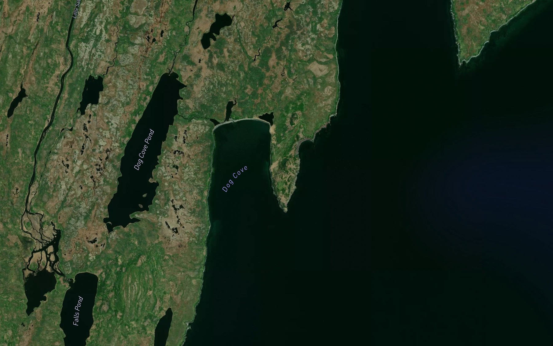 Satellite map of the Dog Cove