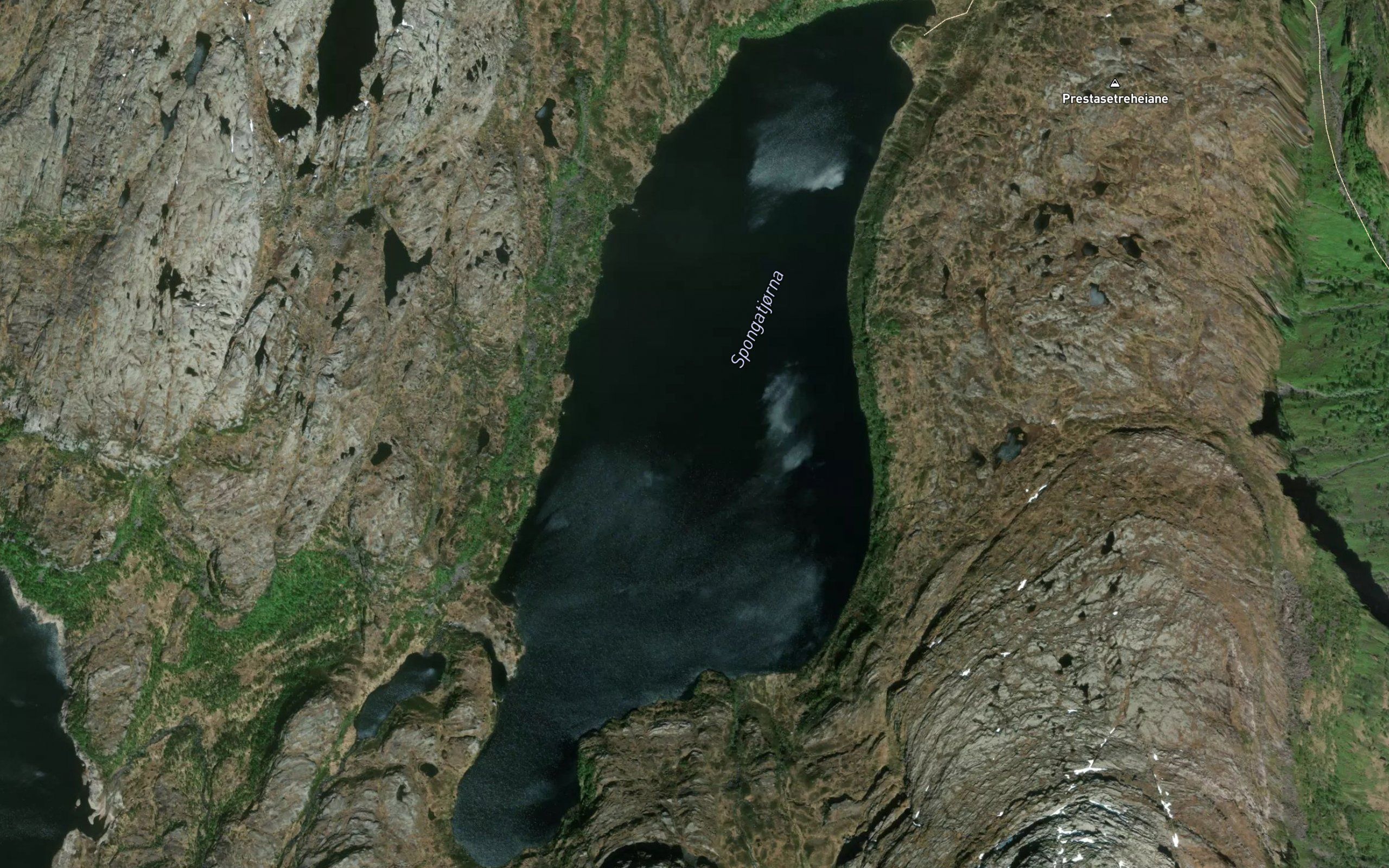 Spongatjorna