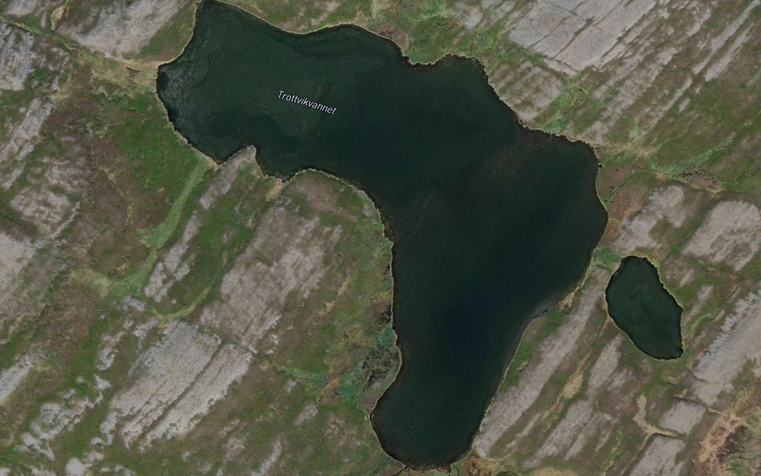 Trottvikvannet