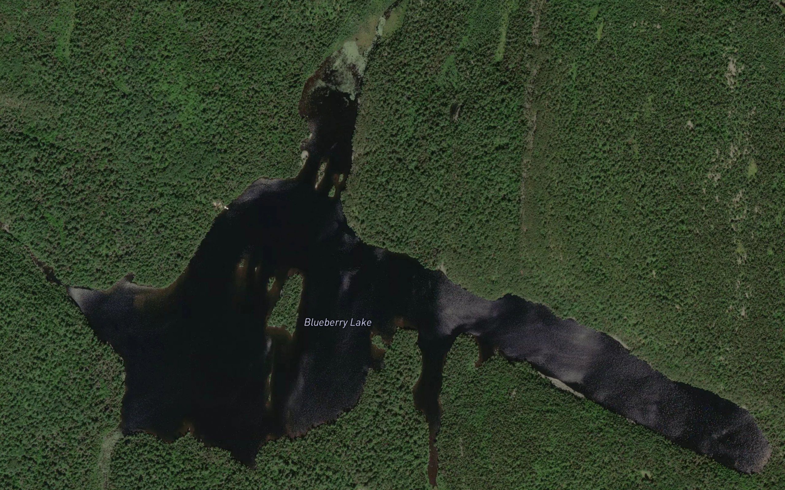Blueberry Lake