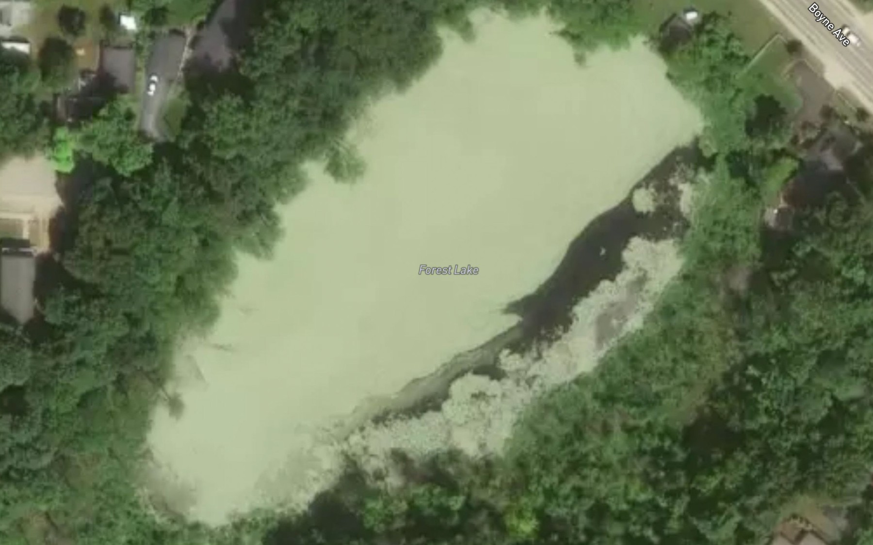 Satellite map of the Forest Lake