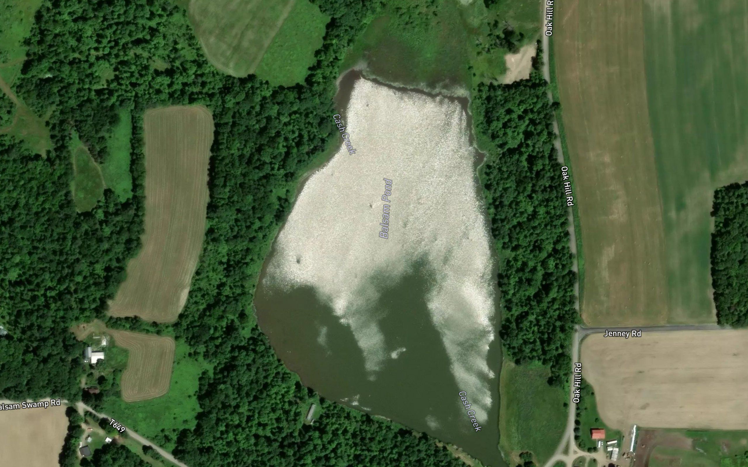 Balsam Pond